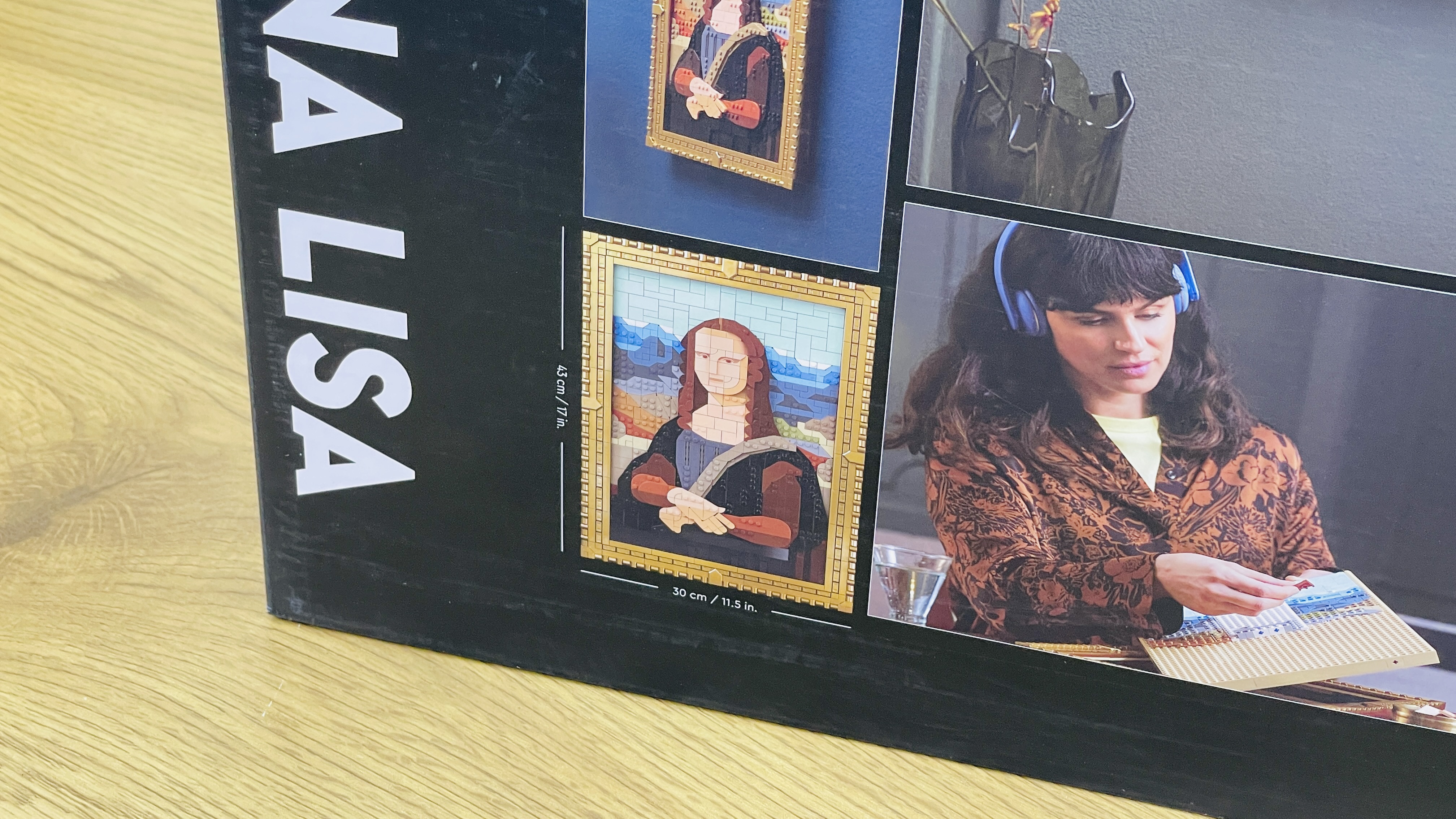 Mona Liza Konstruksiya 1503 Hissə