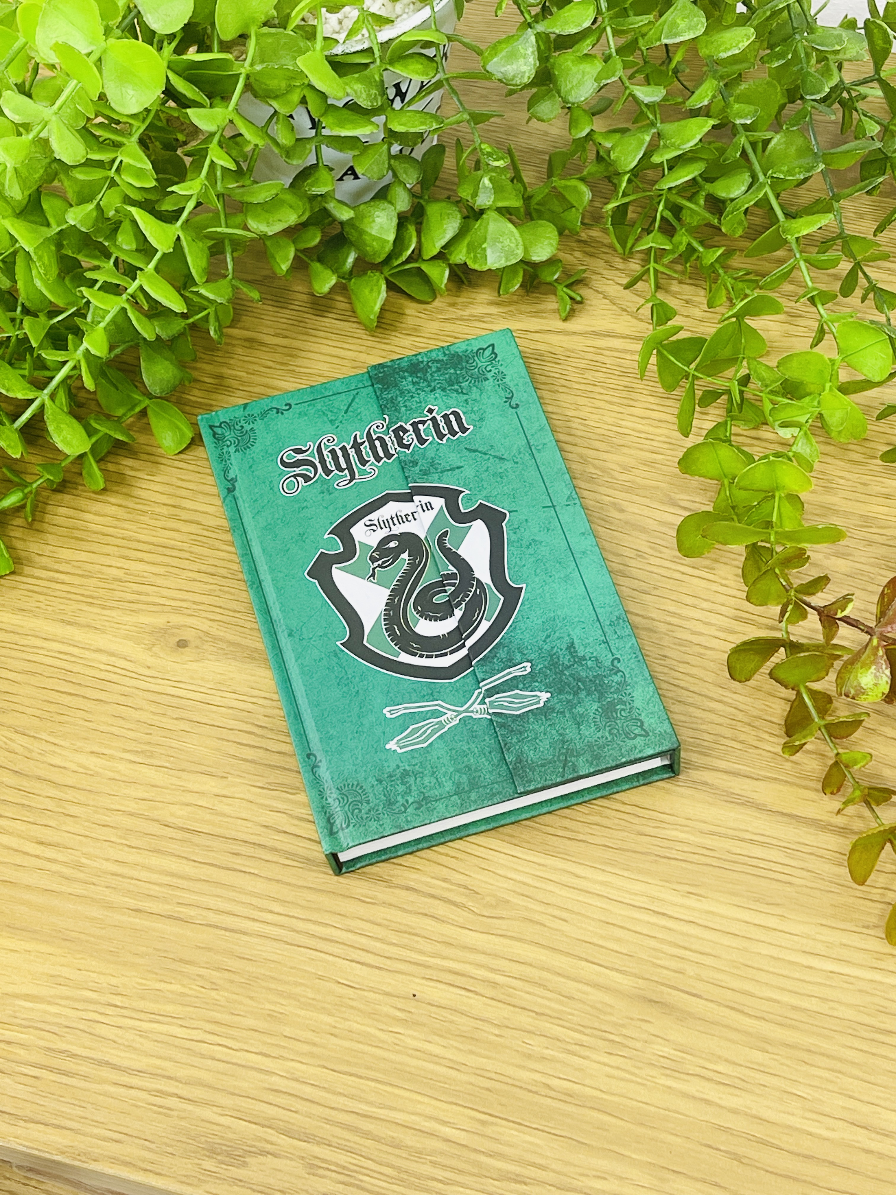 Harry Potter “Slytherin” Qeyd Dəftəri