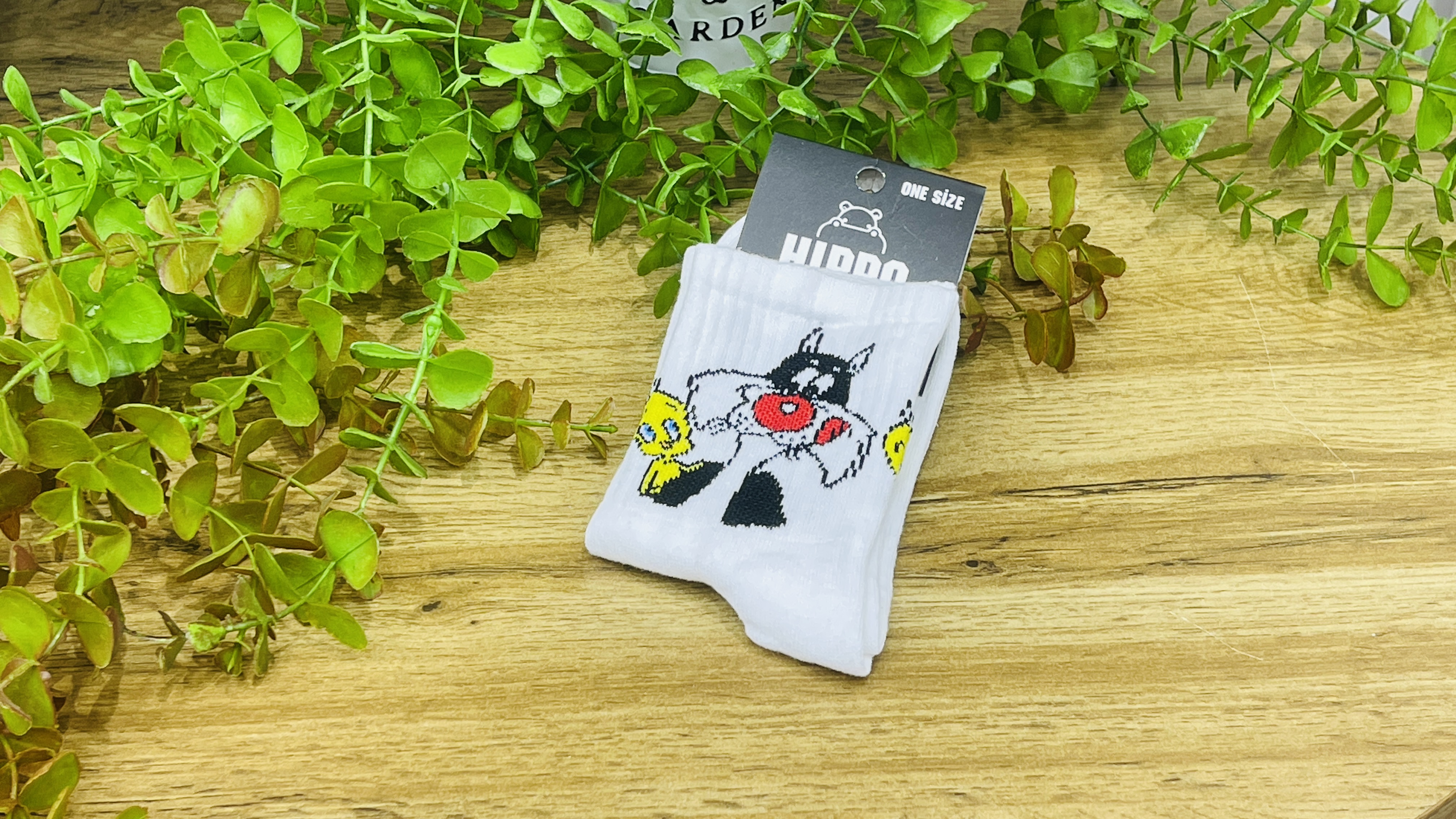 Kreativ Corab- Silvester