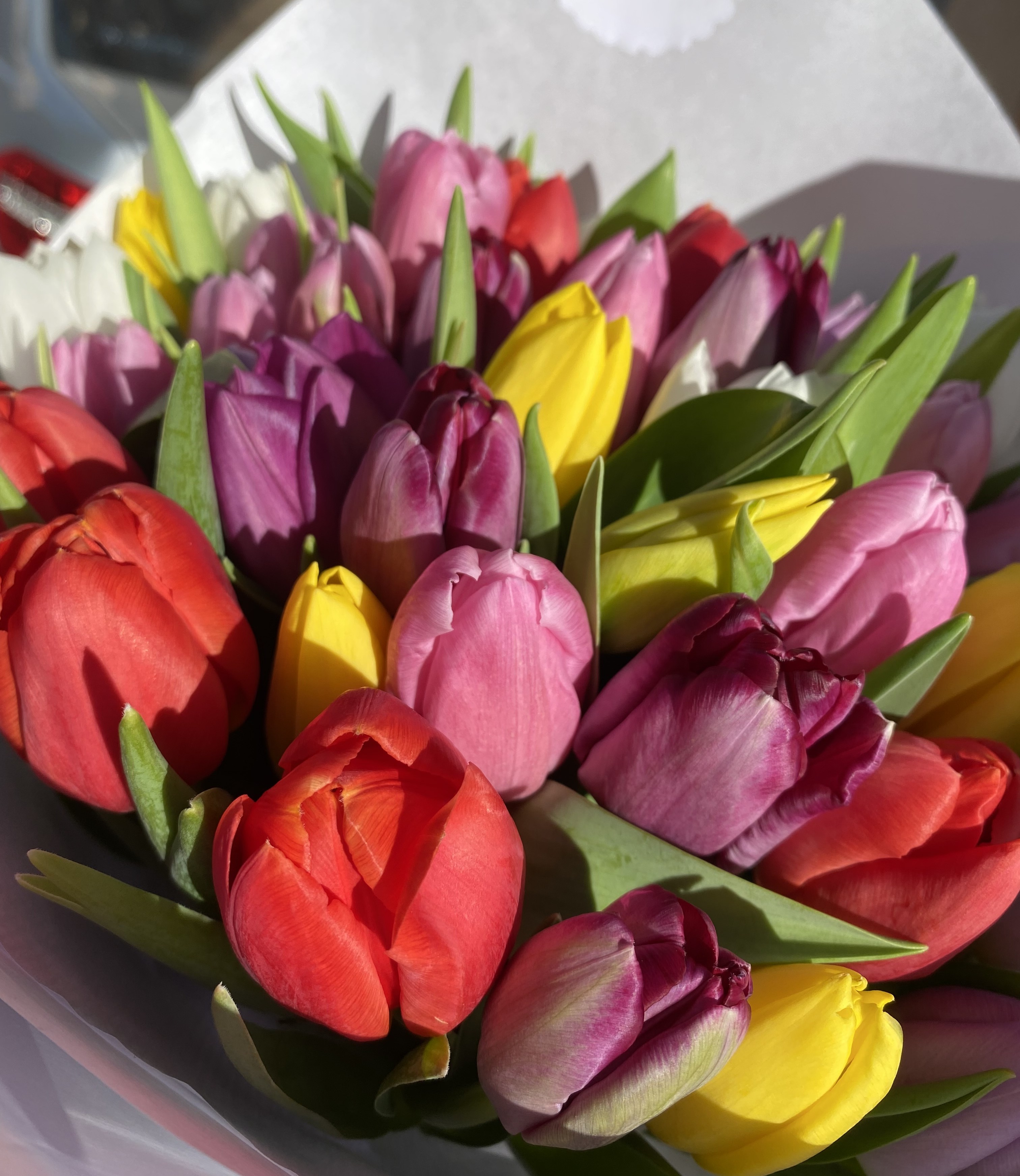 Ramo "Primavera"