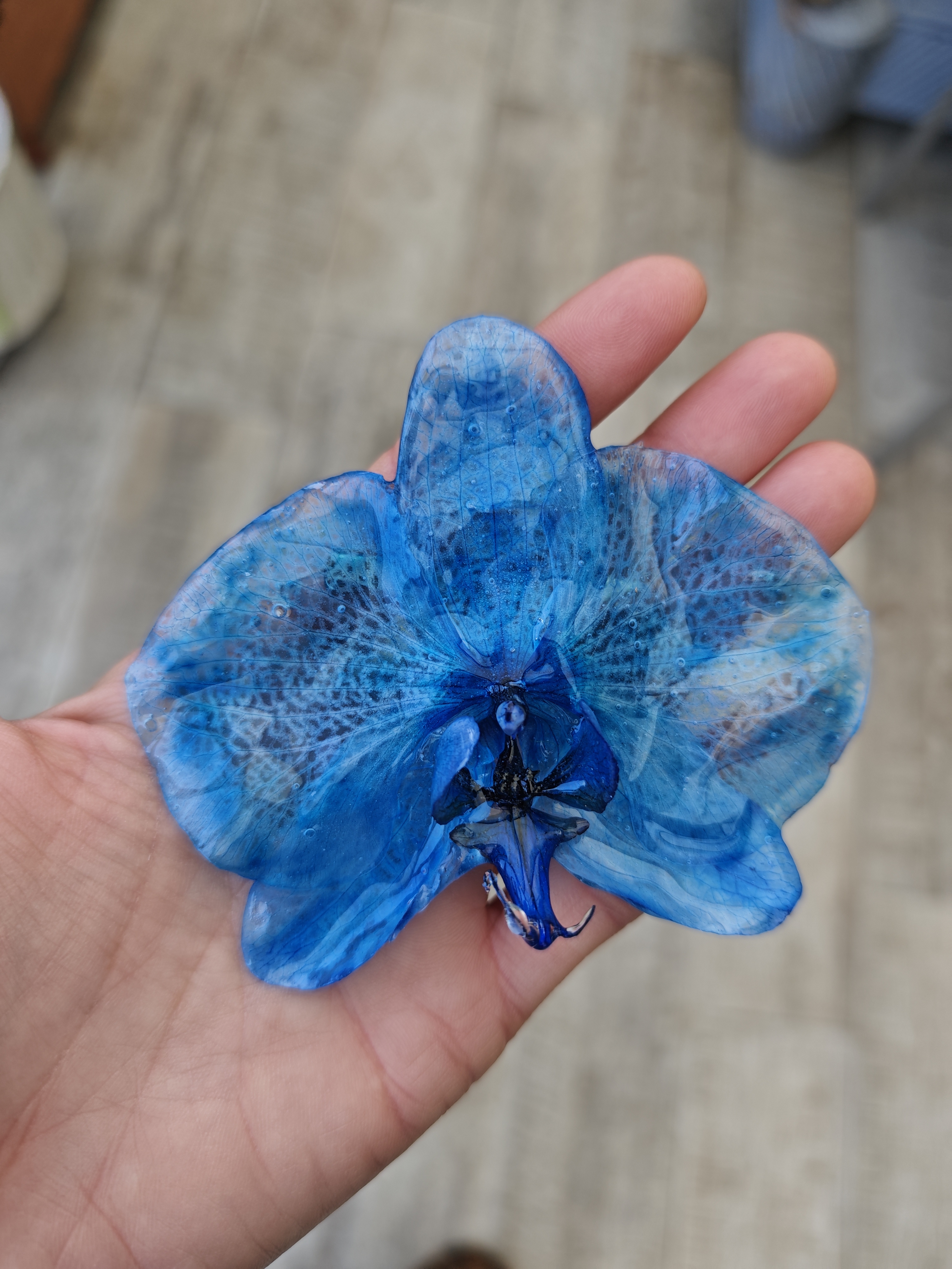 Broches de Orquídea Natural