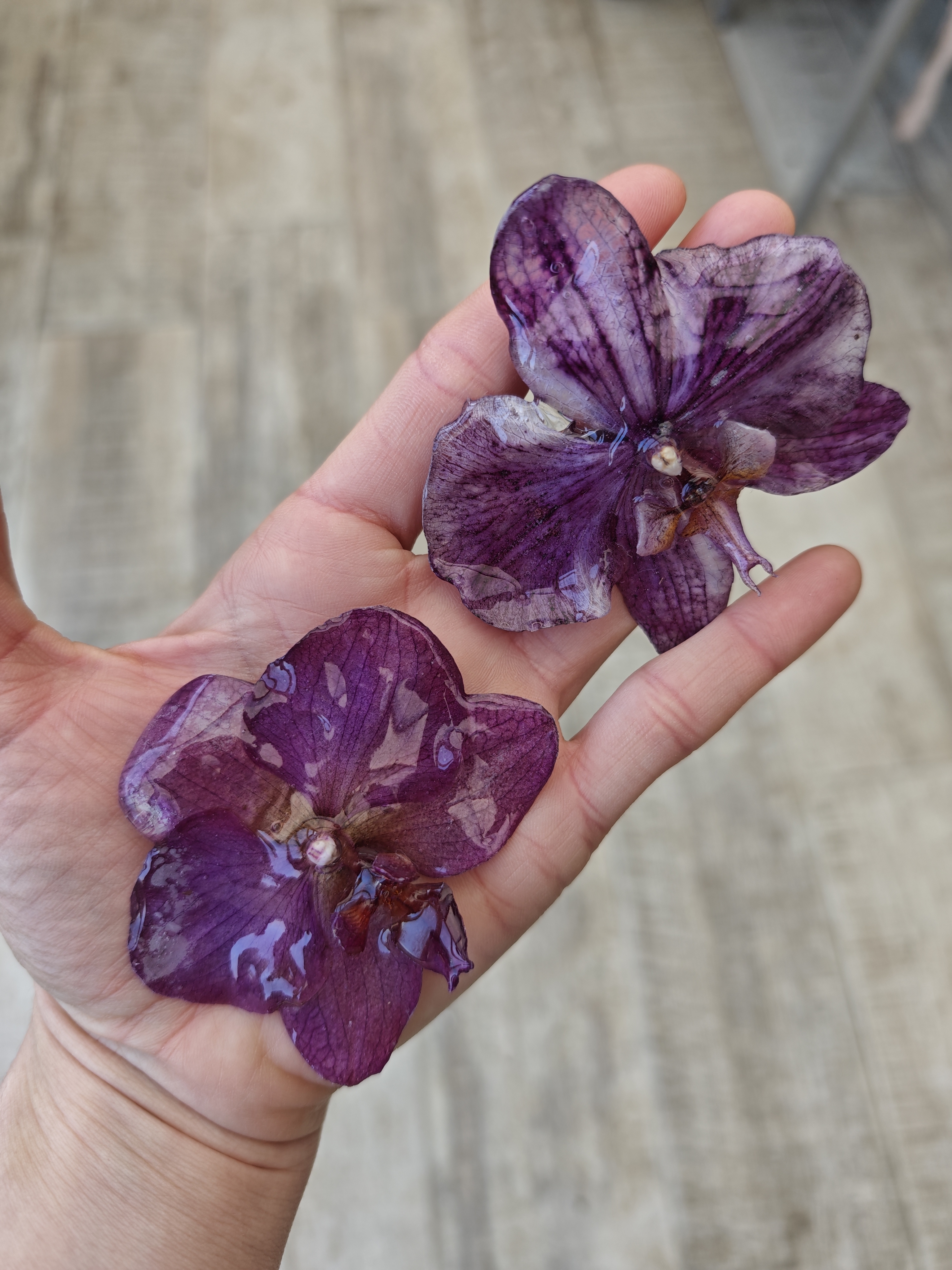 Broches de Orquídea Natural