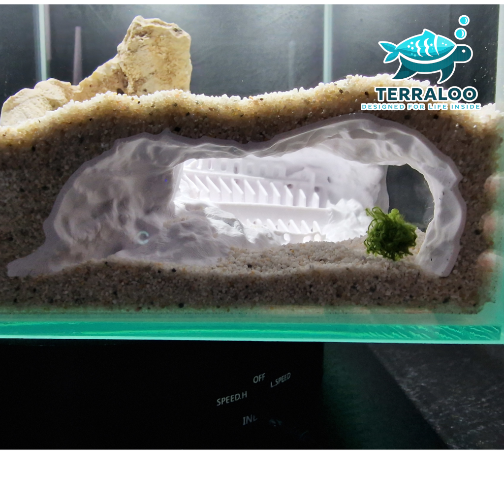 Sunken Colosseum 3D Printed Aquarium Cave Fish Shrimp Hide Pleco Betta Shelter