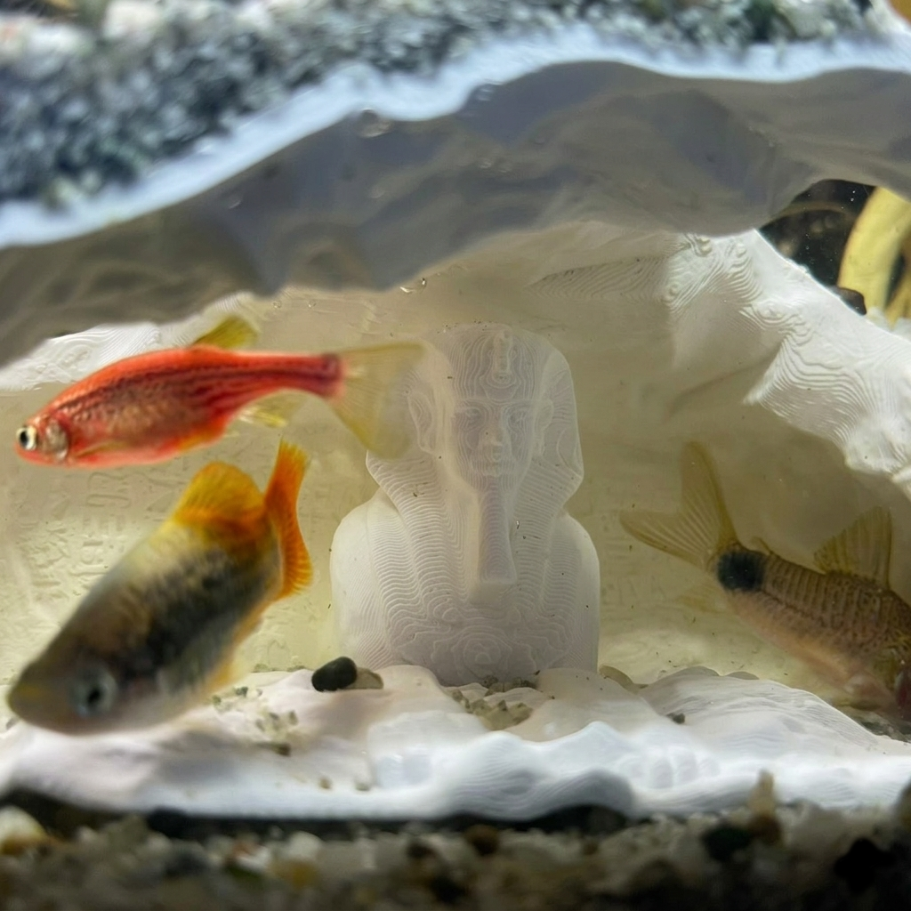 The Secret of Pharaoh – 3D Printed Aquarium Cave | Fish & Shrimp Hide Shelter