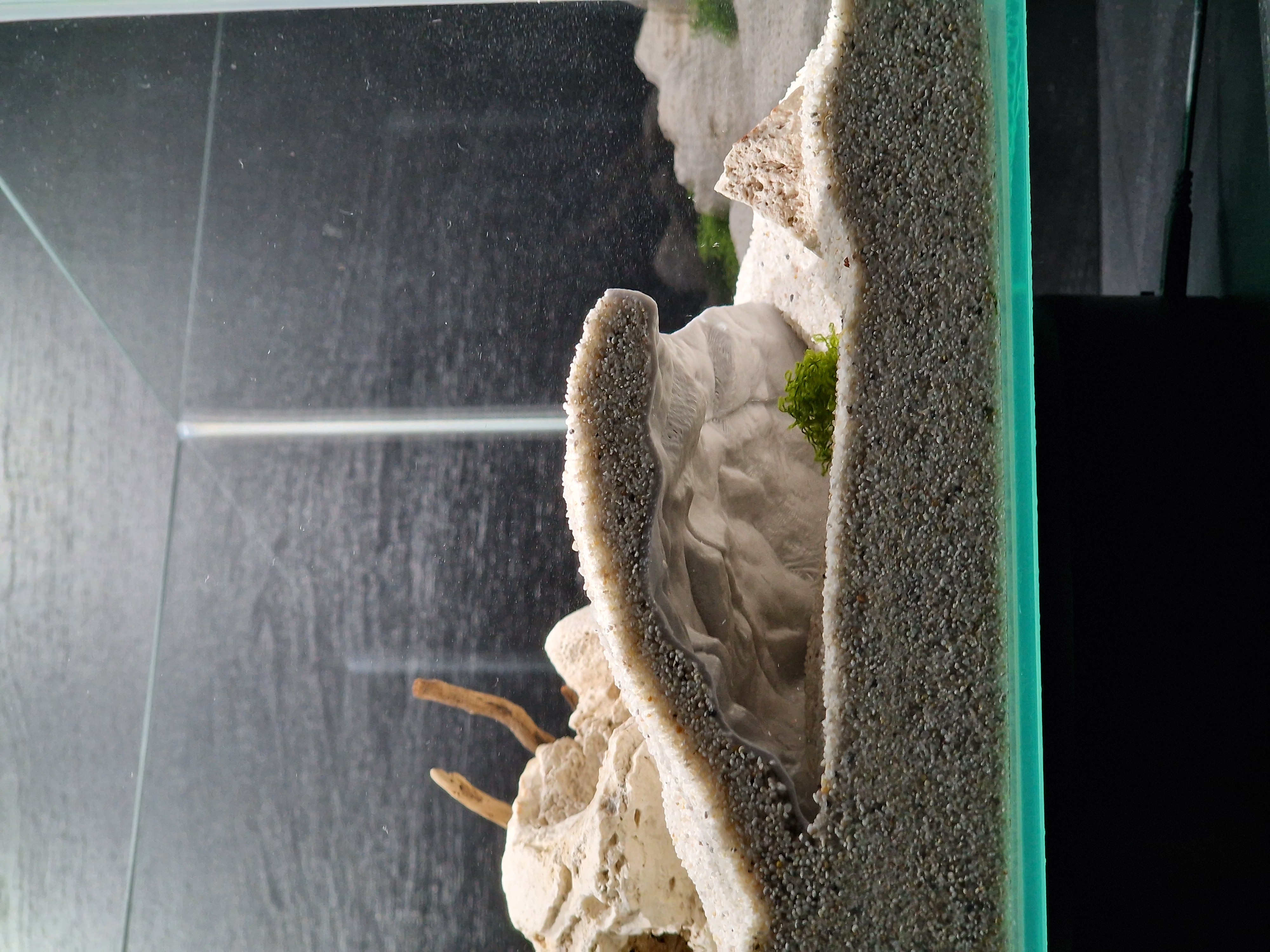 Cliff Cave – 3D Printed Aquarium Hideaway