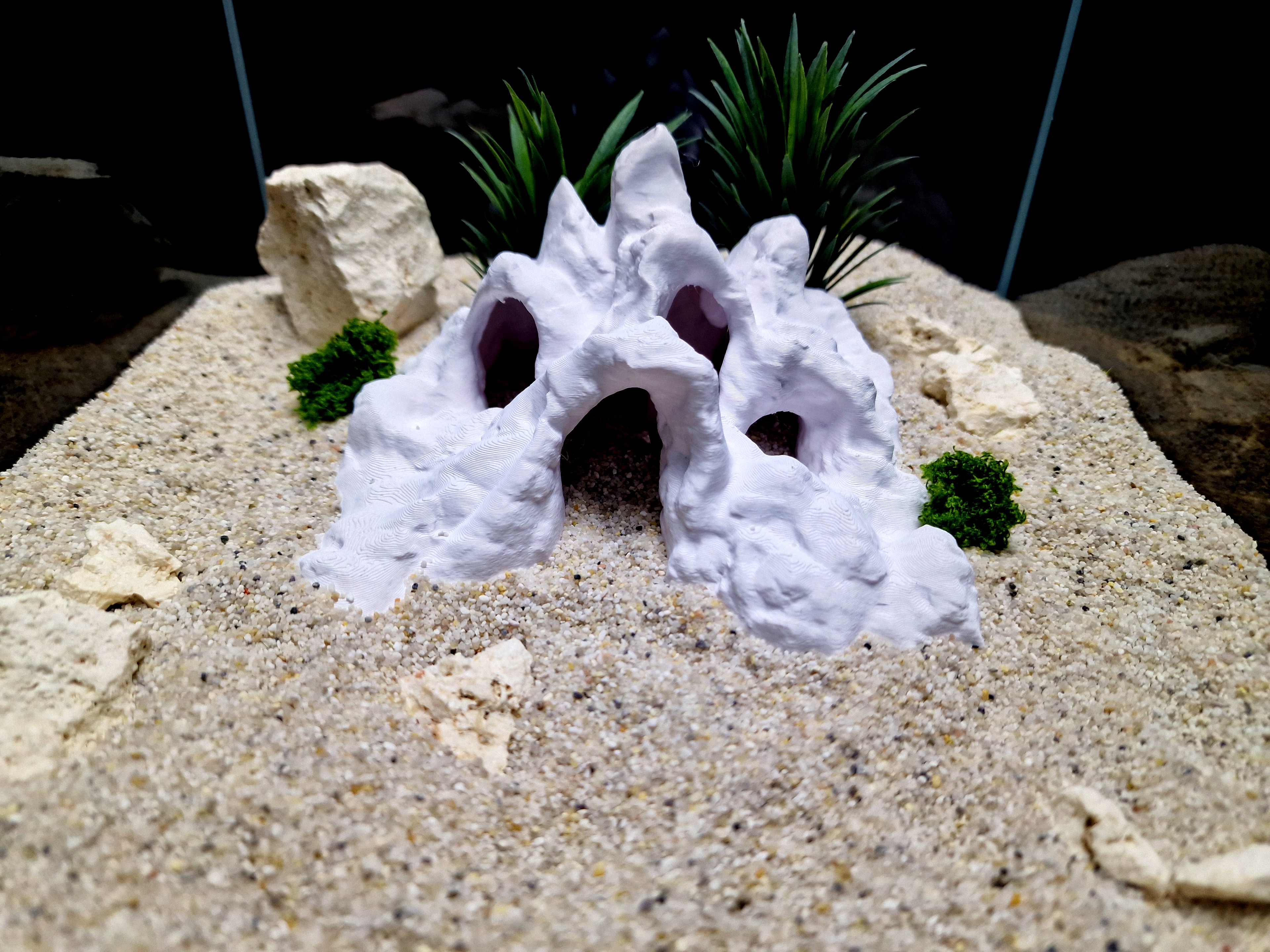 Hadals Rise – Aquarium, Terrarium Hideout