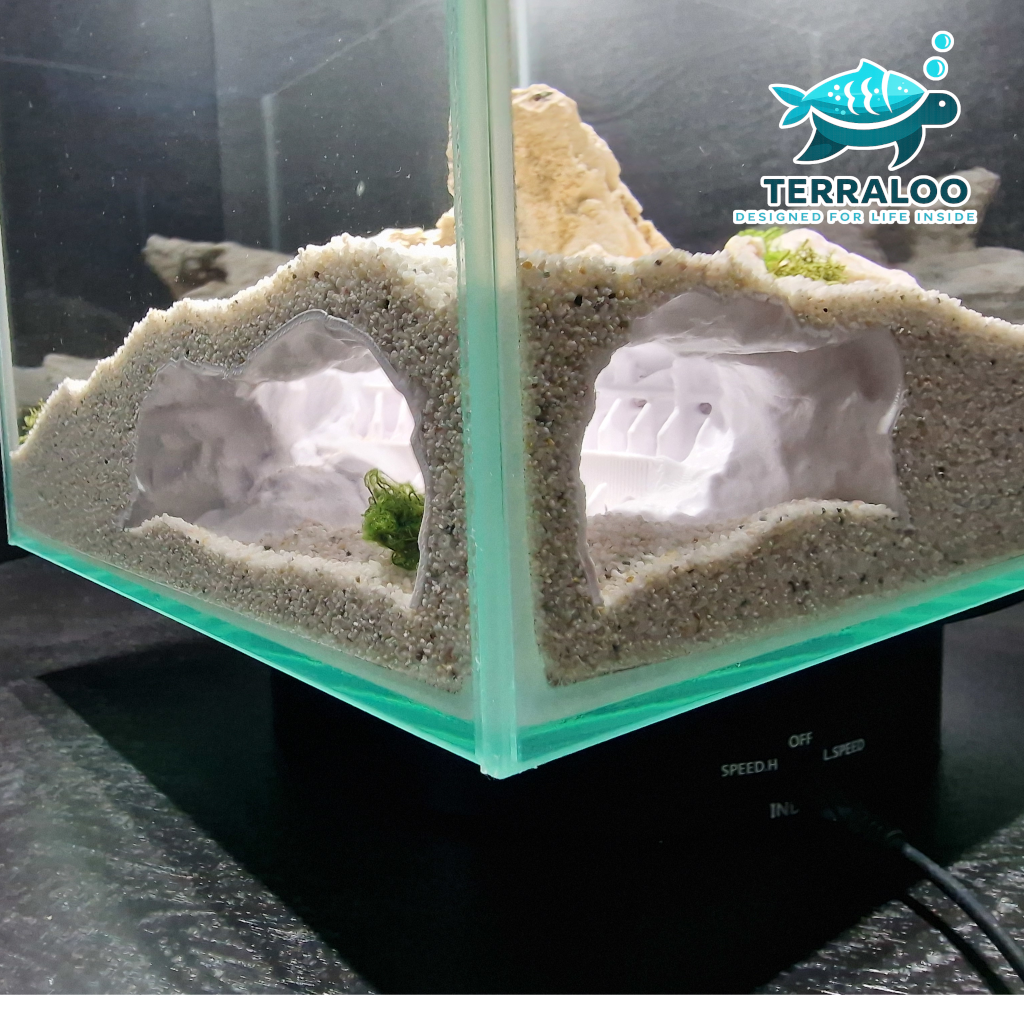 Sunken Colosseum 3D Printed Aquarium Cave Fish Shrimp Hide Pleco Betta Shelter