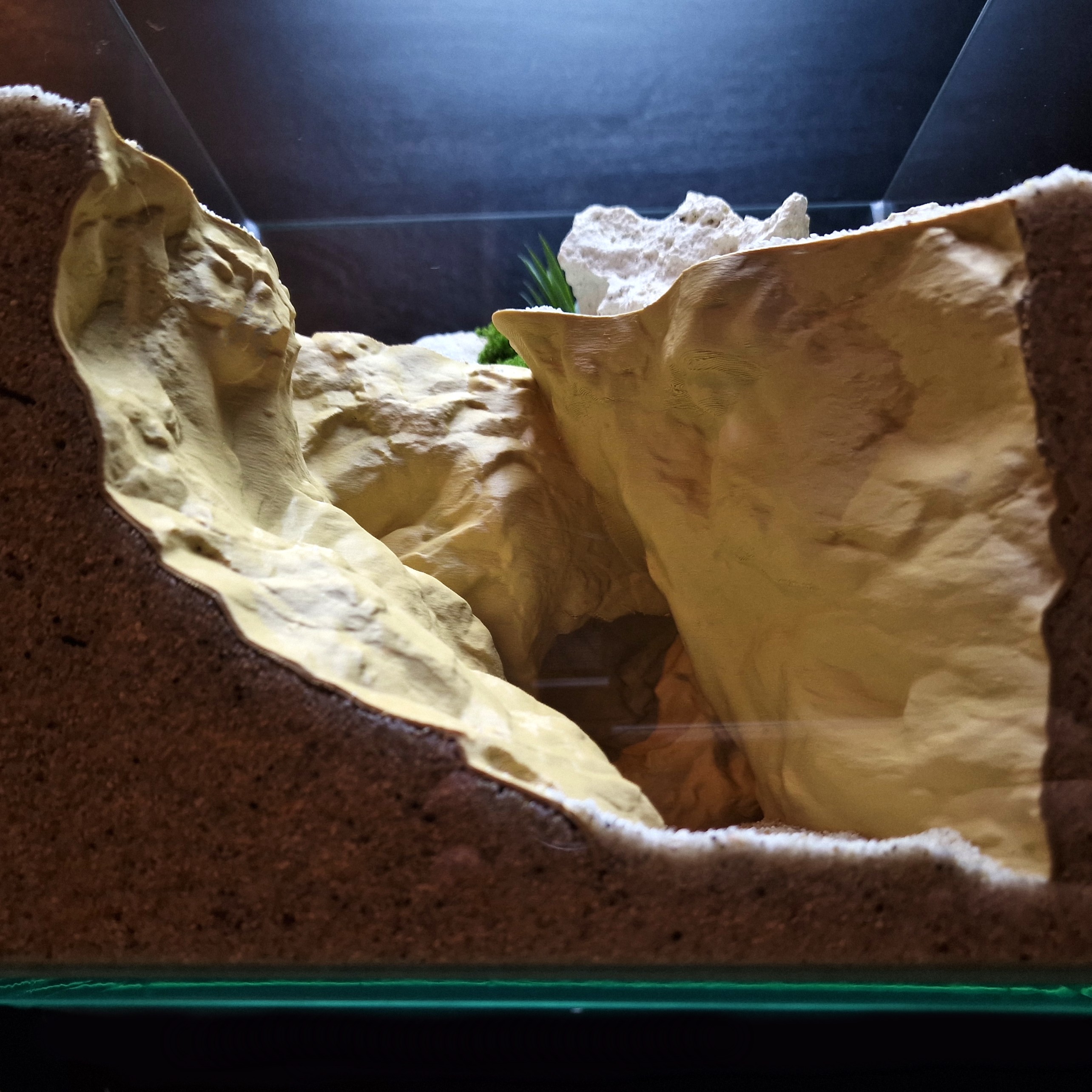 Coralveil Cavern Aquarium Cave Fish Hide Shrimp Shelter Decor