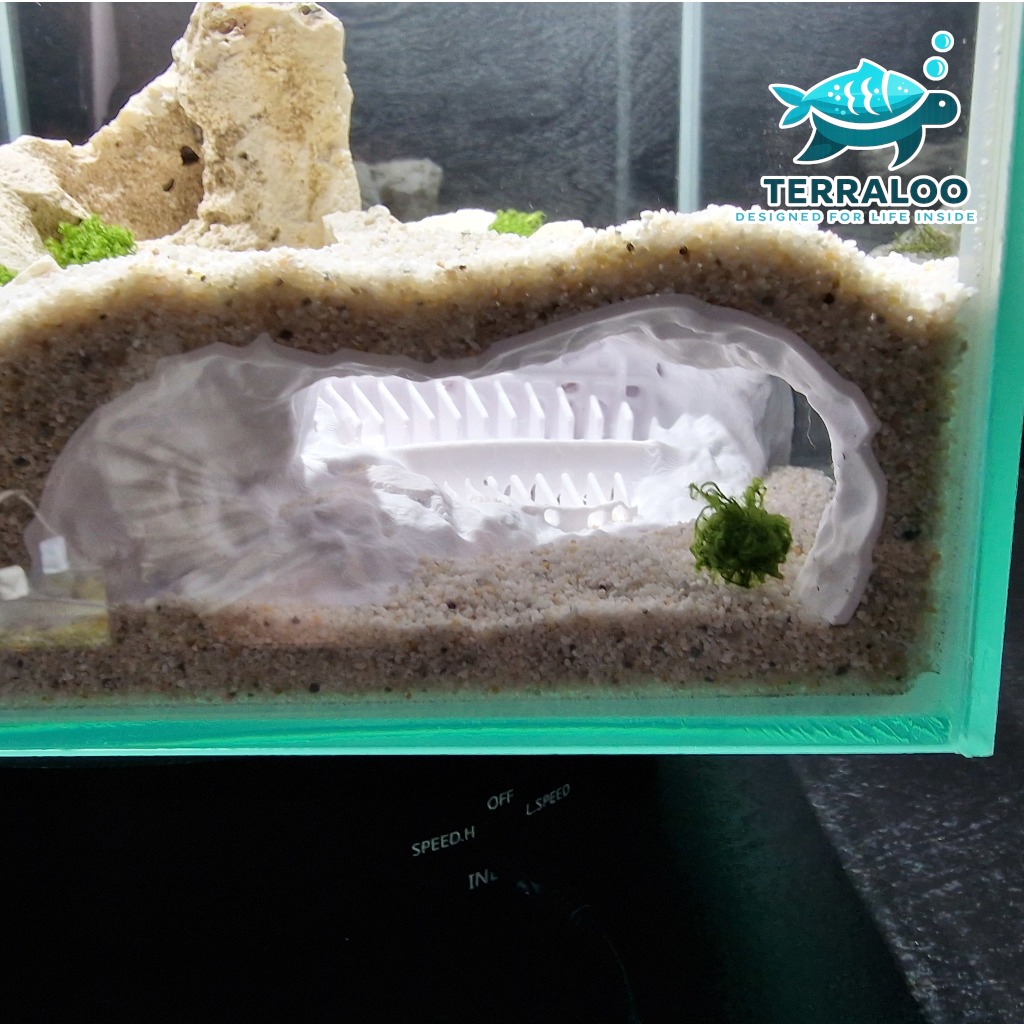 Sunken Colosseum 3D Printed Aquarium Cave Fish Shrimp Hide Pleco Betta Shelter