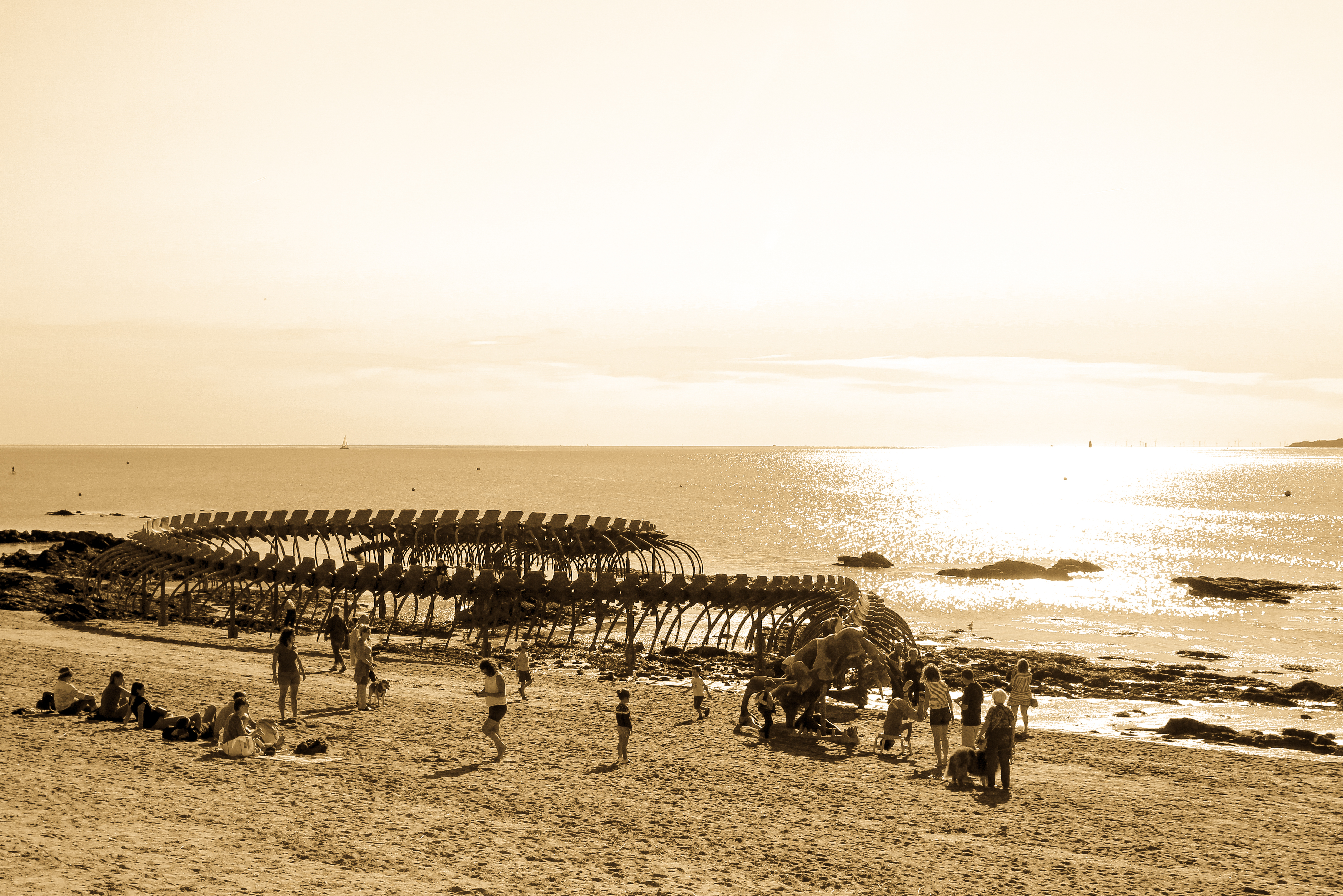 Photo sur toile d'une sculpture d'un Squelette Géant de Bord de Mer.