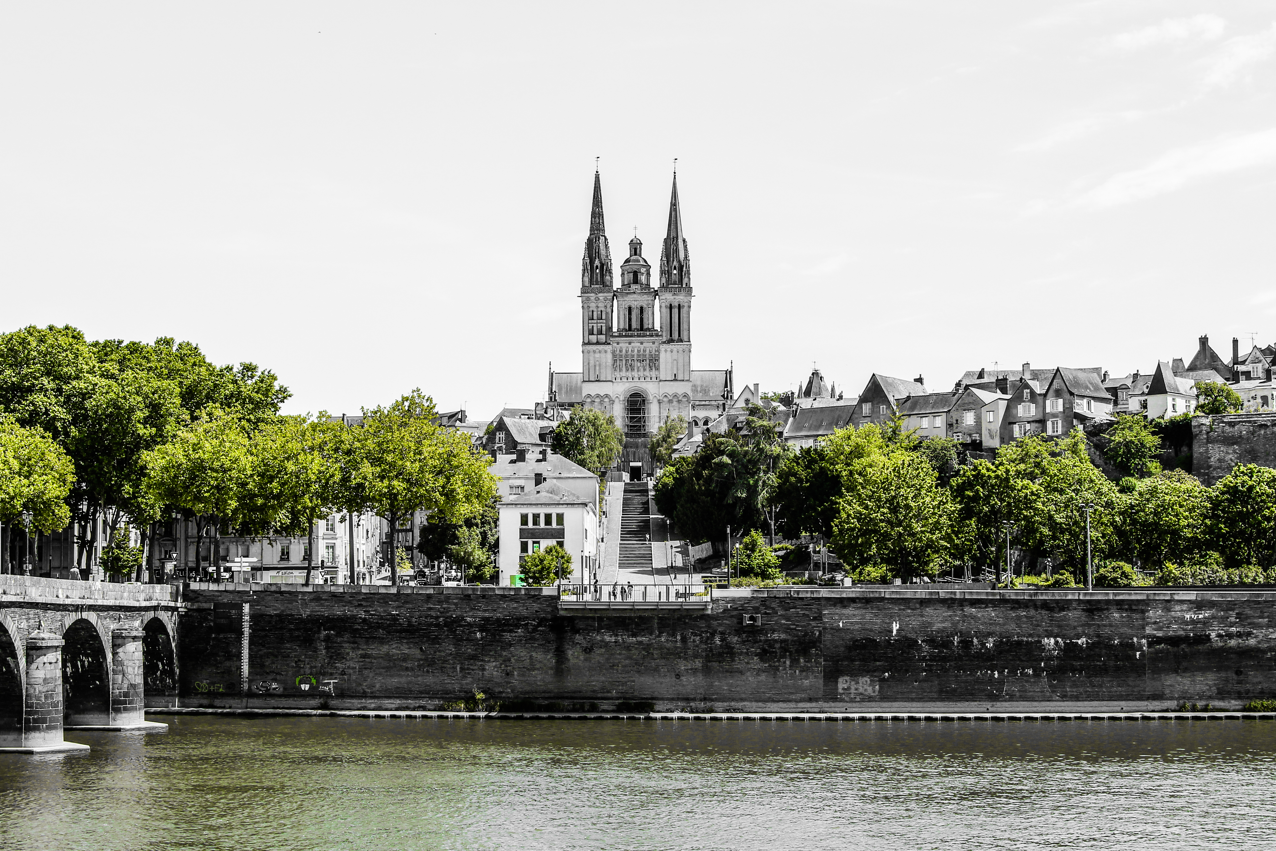 Photo sur toile de la Cathédrale d'Angers en noir et blanc avec uniquement les verts qui ressortent.