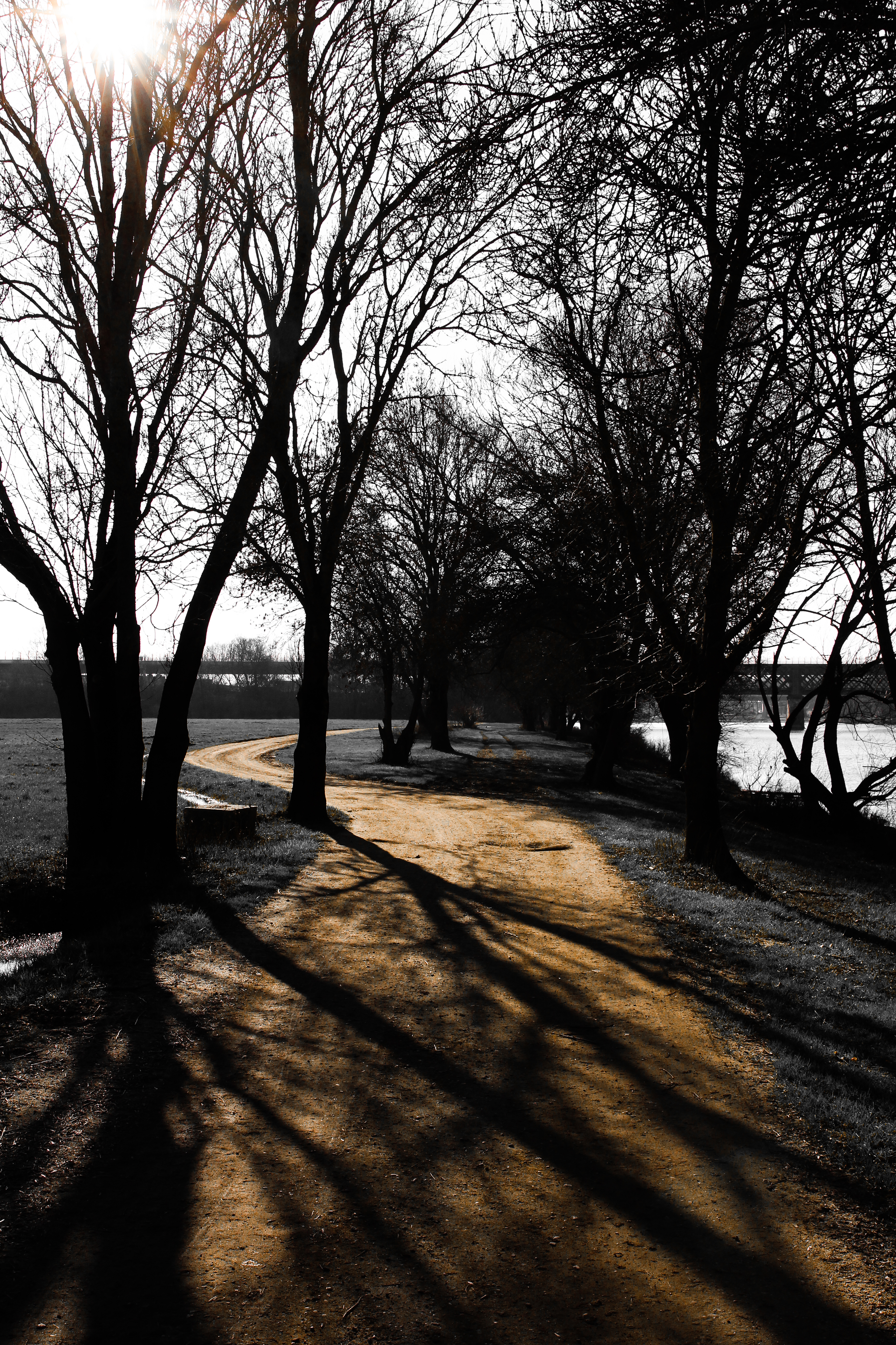 Photo sur toile Chemin d'hiver