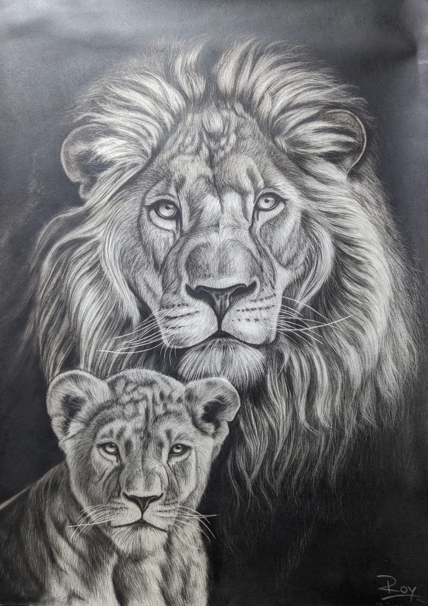Lion and Cub