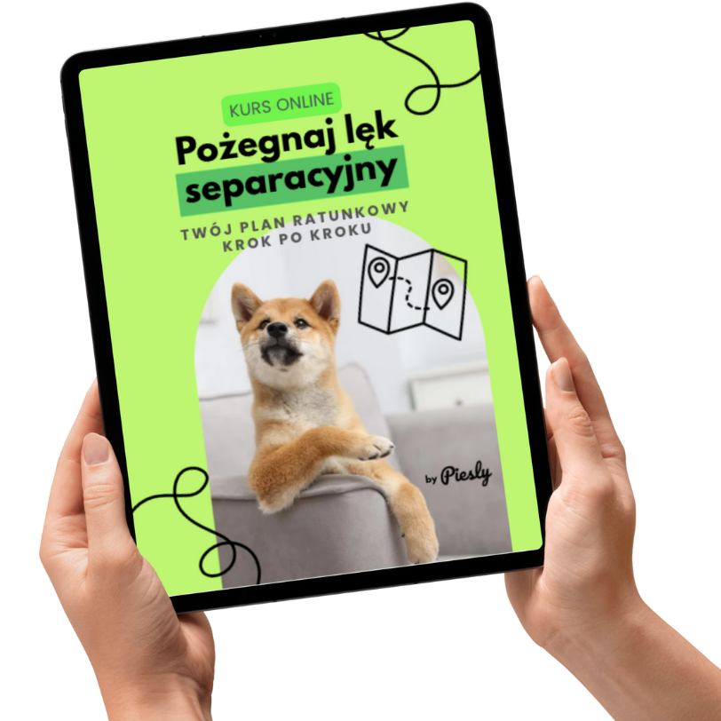 KURS ONLINE: Pożegnaj lęk separacyjny