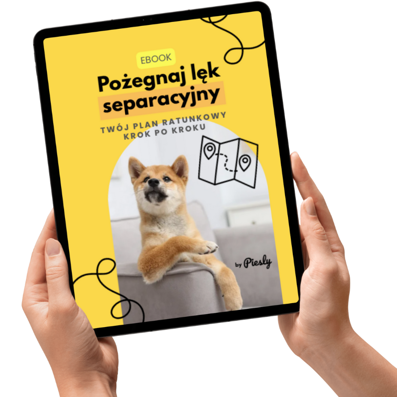 EBOOK: Pożegnaj lęk separacyjny