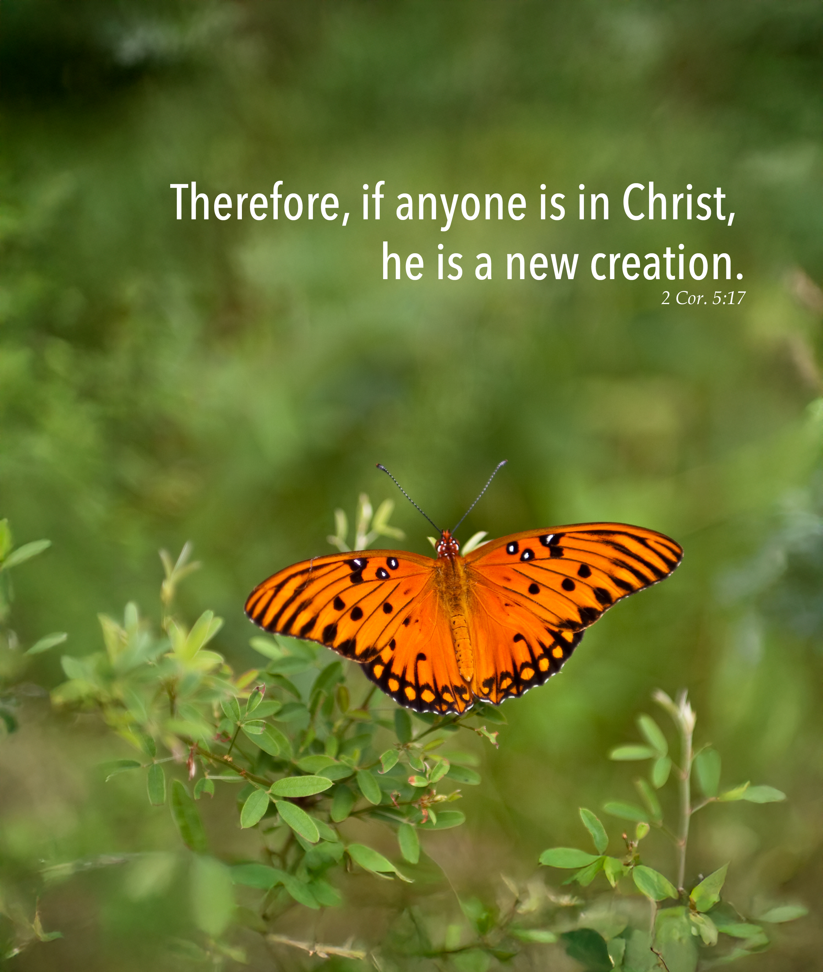 2 Cor 5:17 New Creation Print