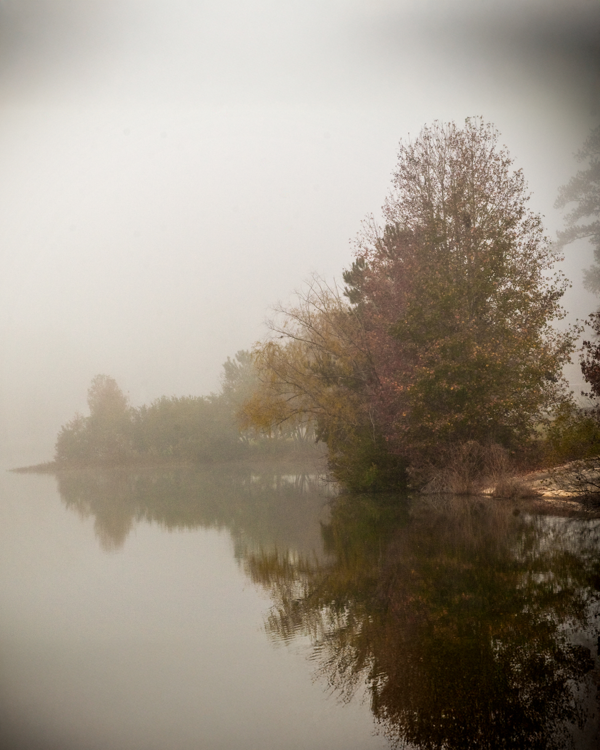 Foggy Lake Nature Print
