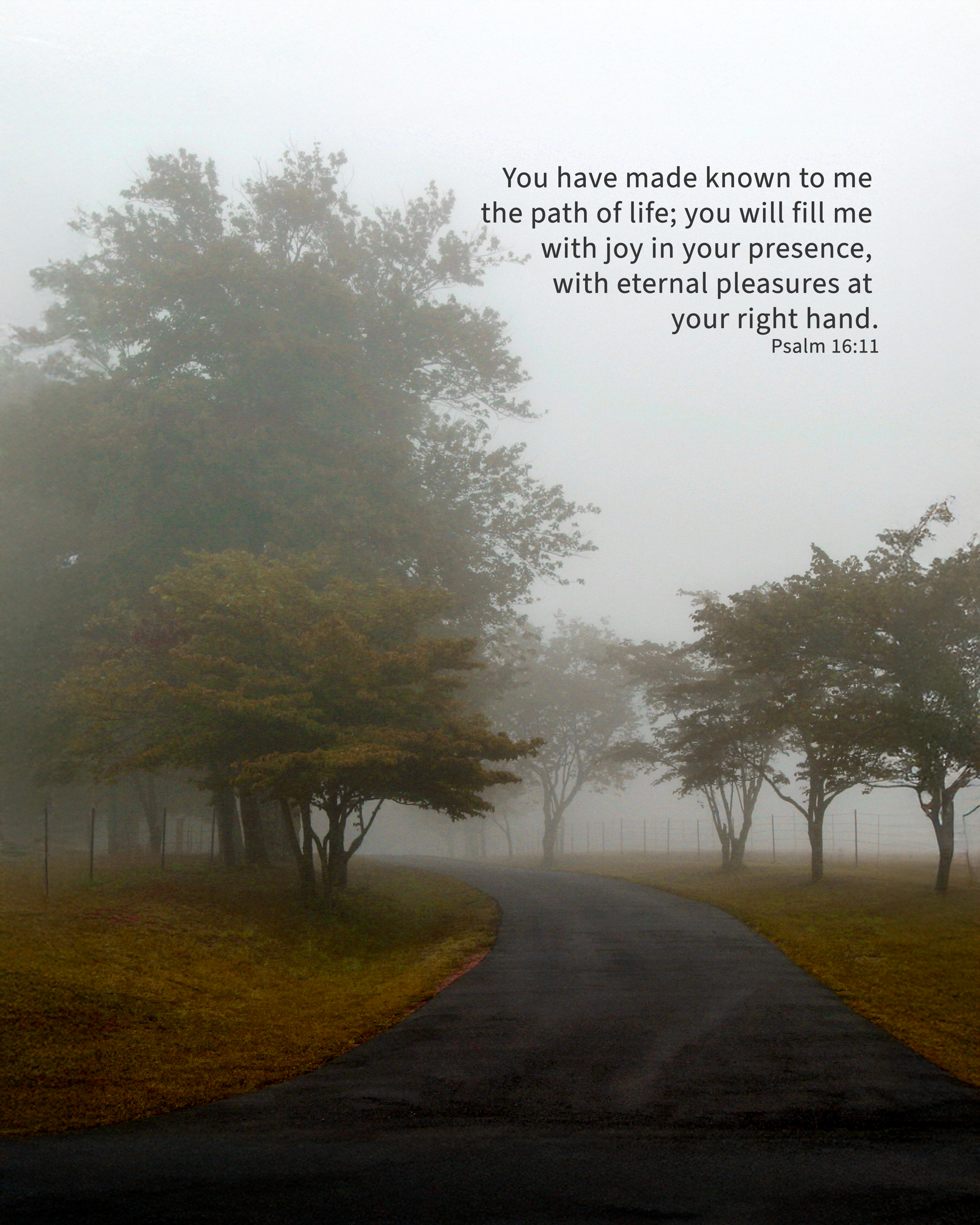 Psalm 16:11 Inspirational Wall Art Print