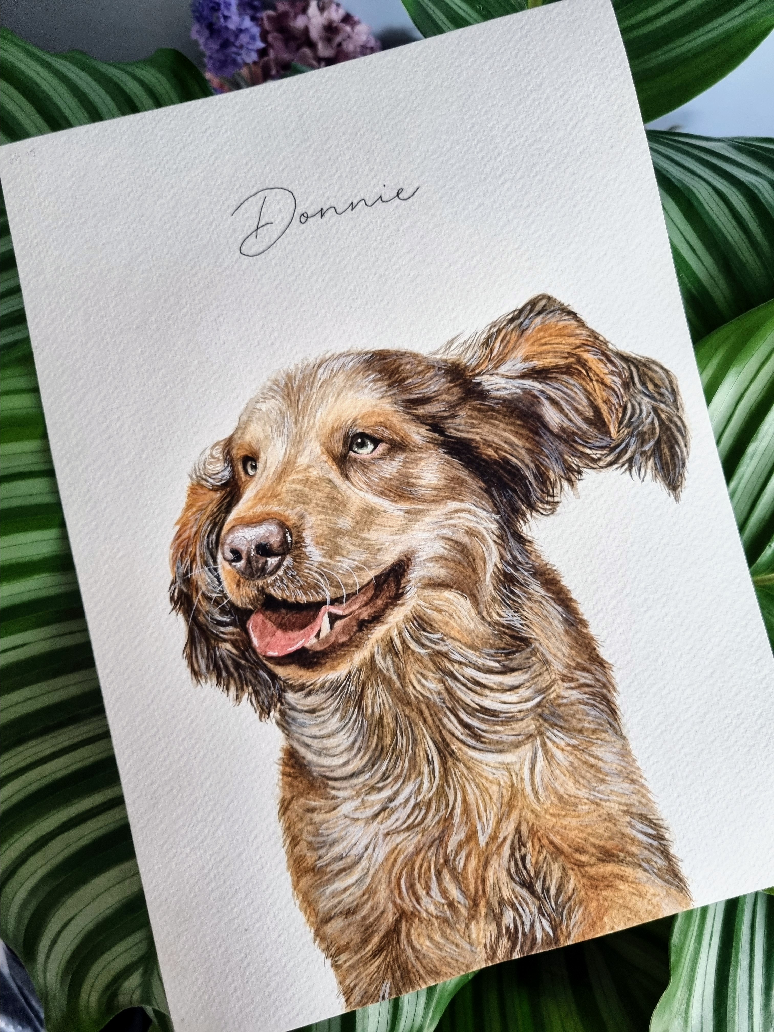 A4 Pet Portrait