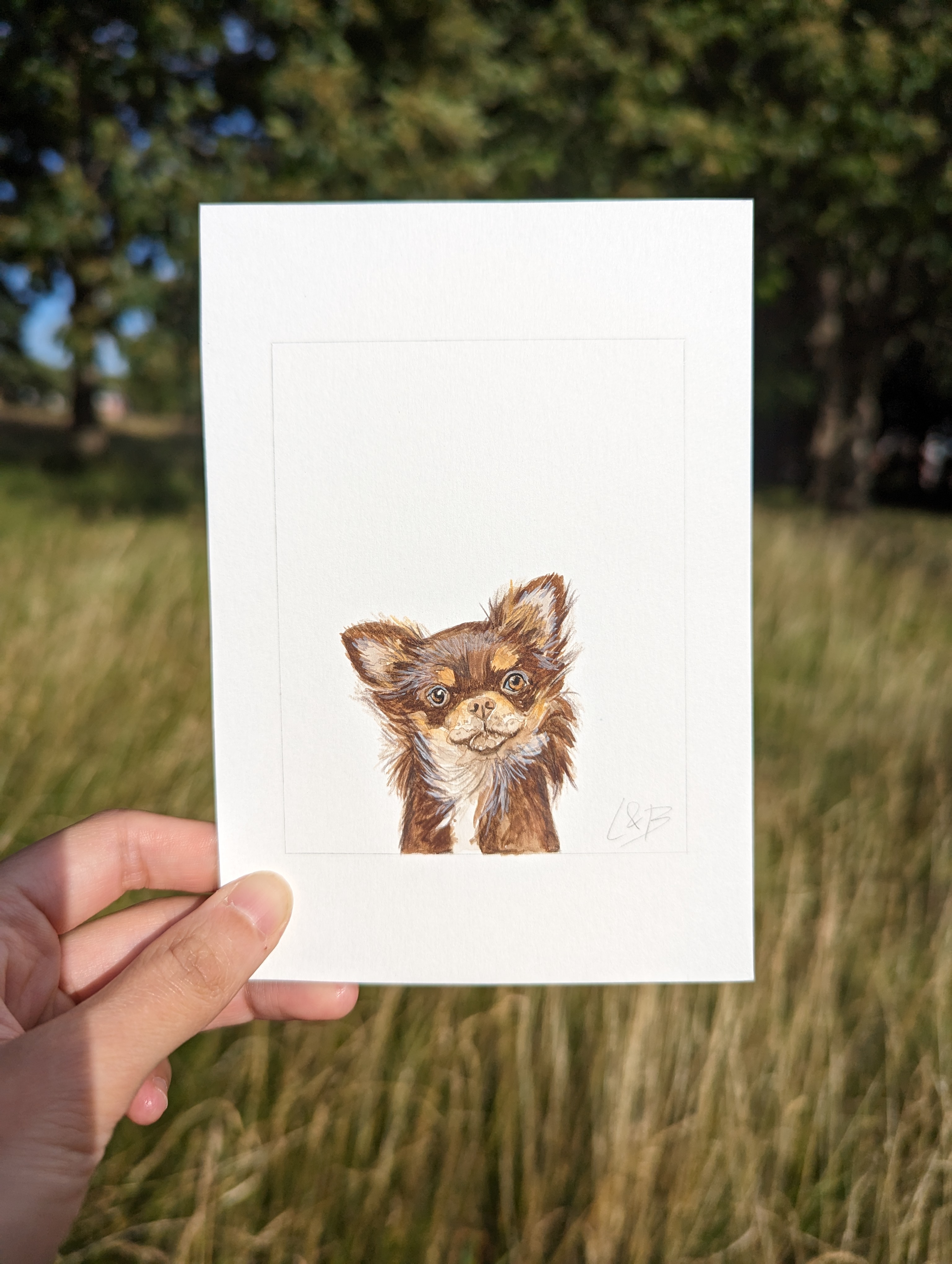 Mini A6 Pet Portrait