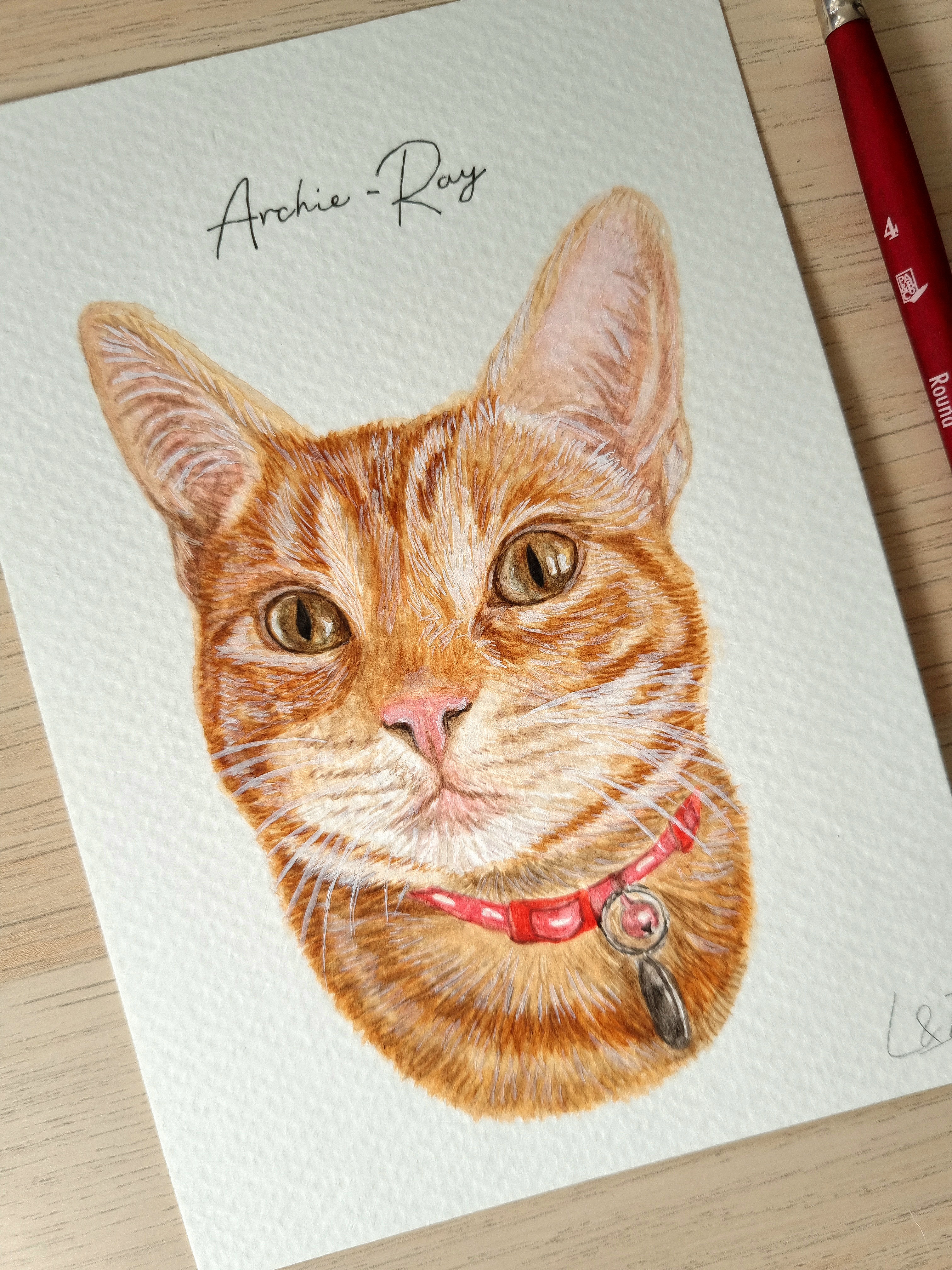 A6 Pet Portrait