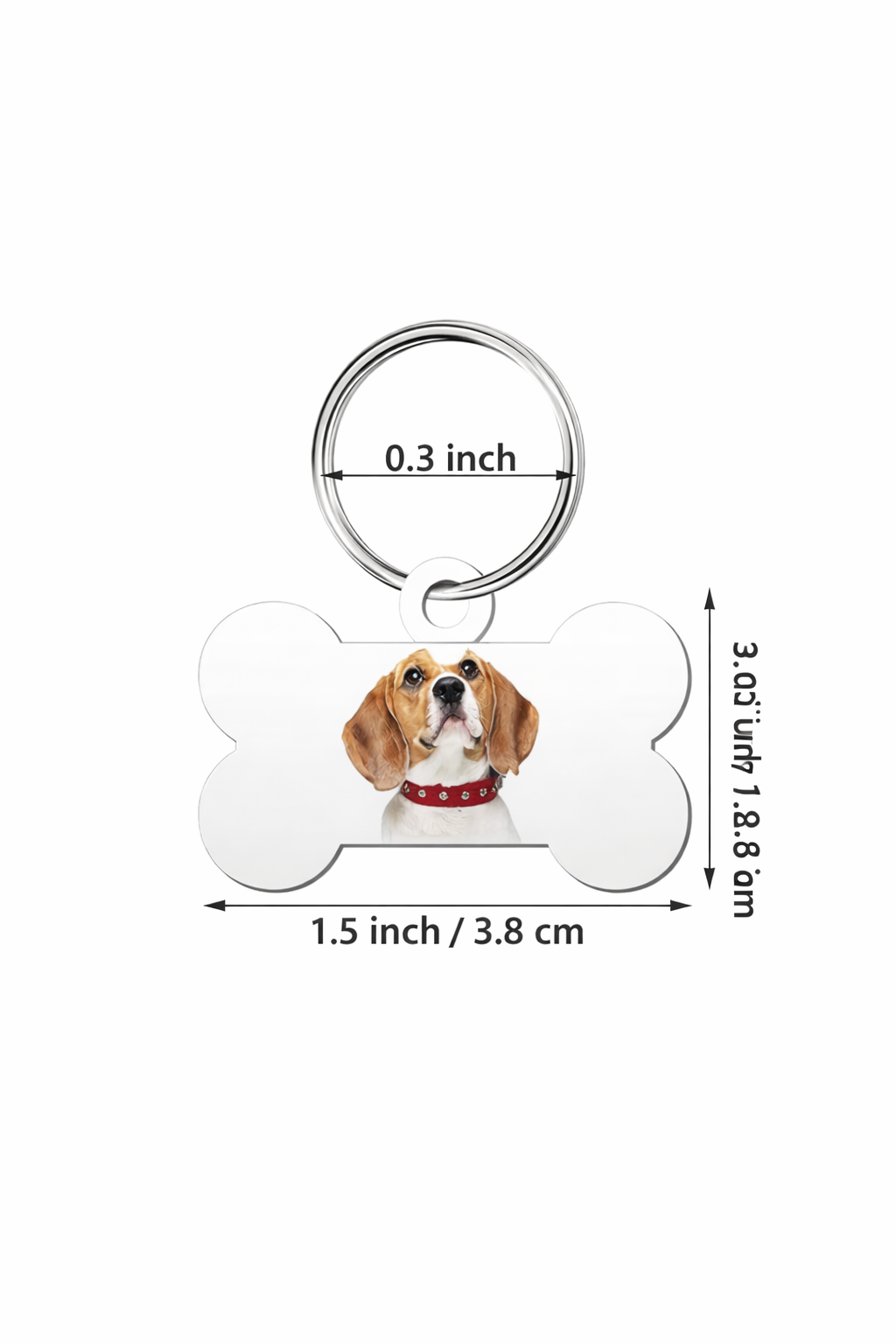 Custom Pet ID Name Tag