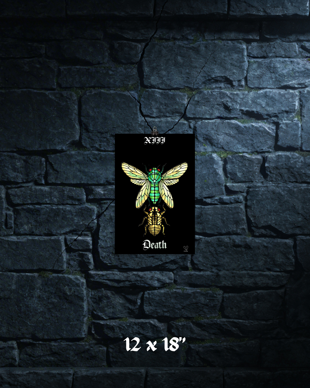 Creeping Shadows Tarot Print: Death – Cicada