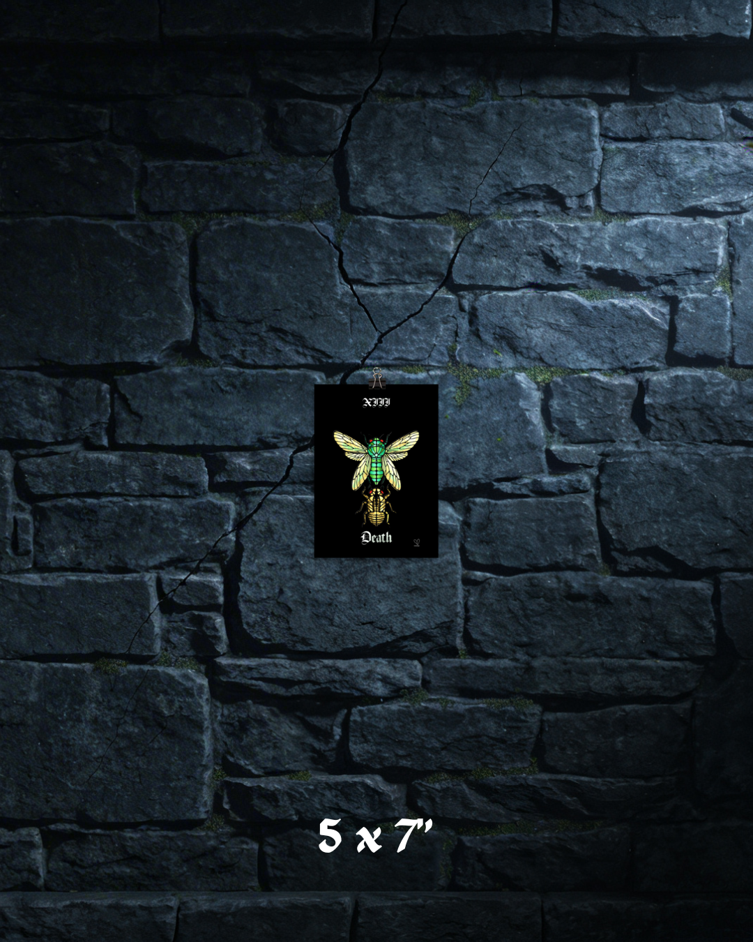 Creeping Shadows Tarot Print: Death – Cicada