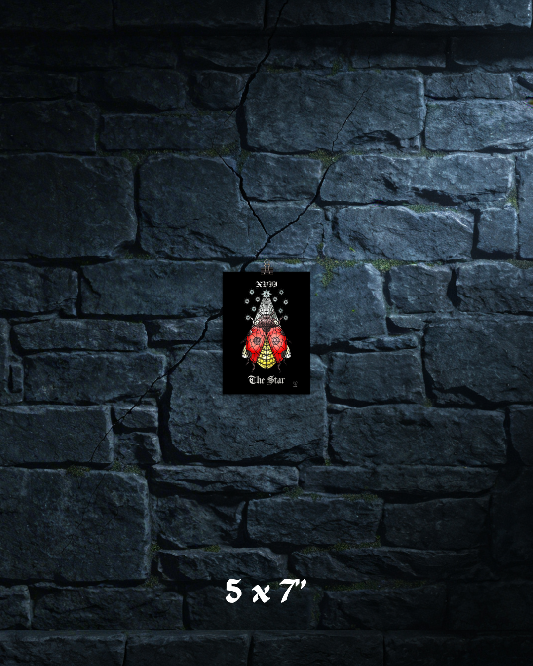 Creeping Shadows Tarot Print: The Star – Ladybug