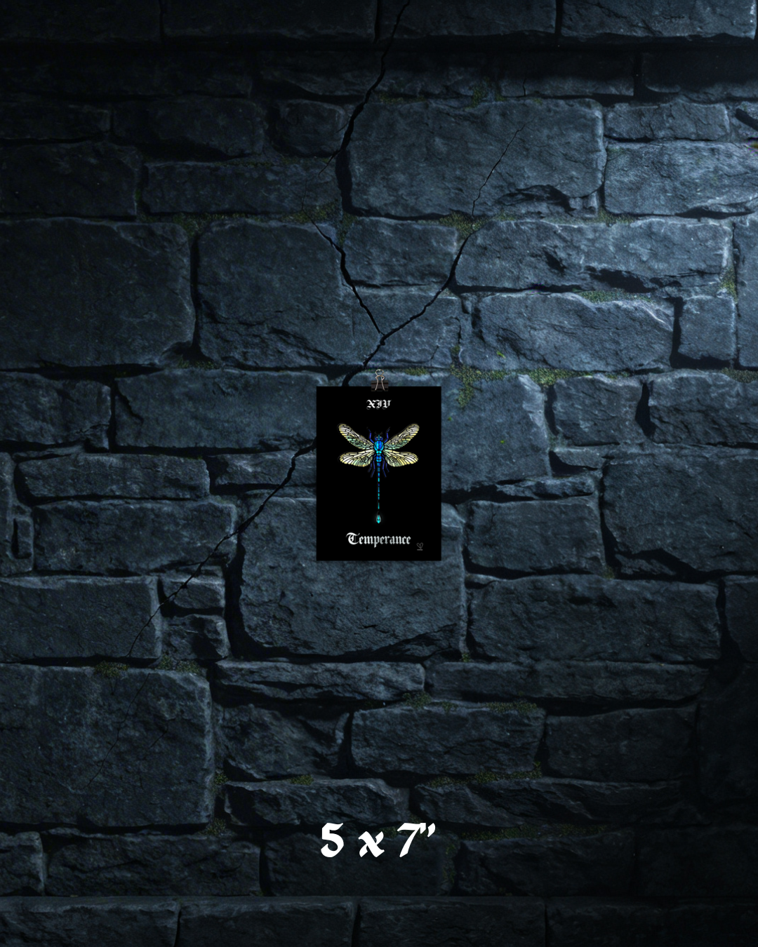 Creeping Shadows Tarot Print: Temperance – Dragonfly