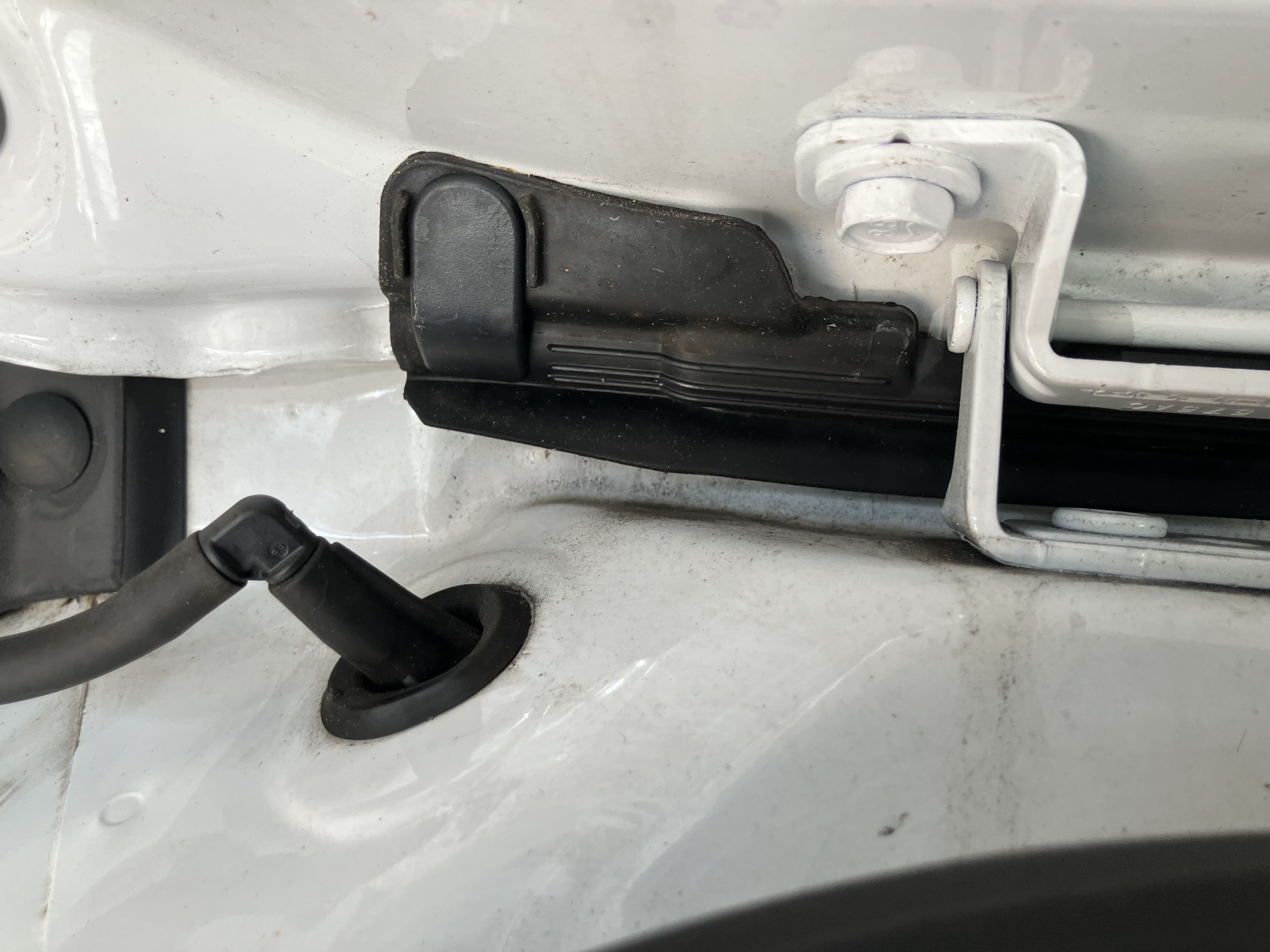 Full Shine (Premium Detail)