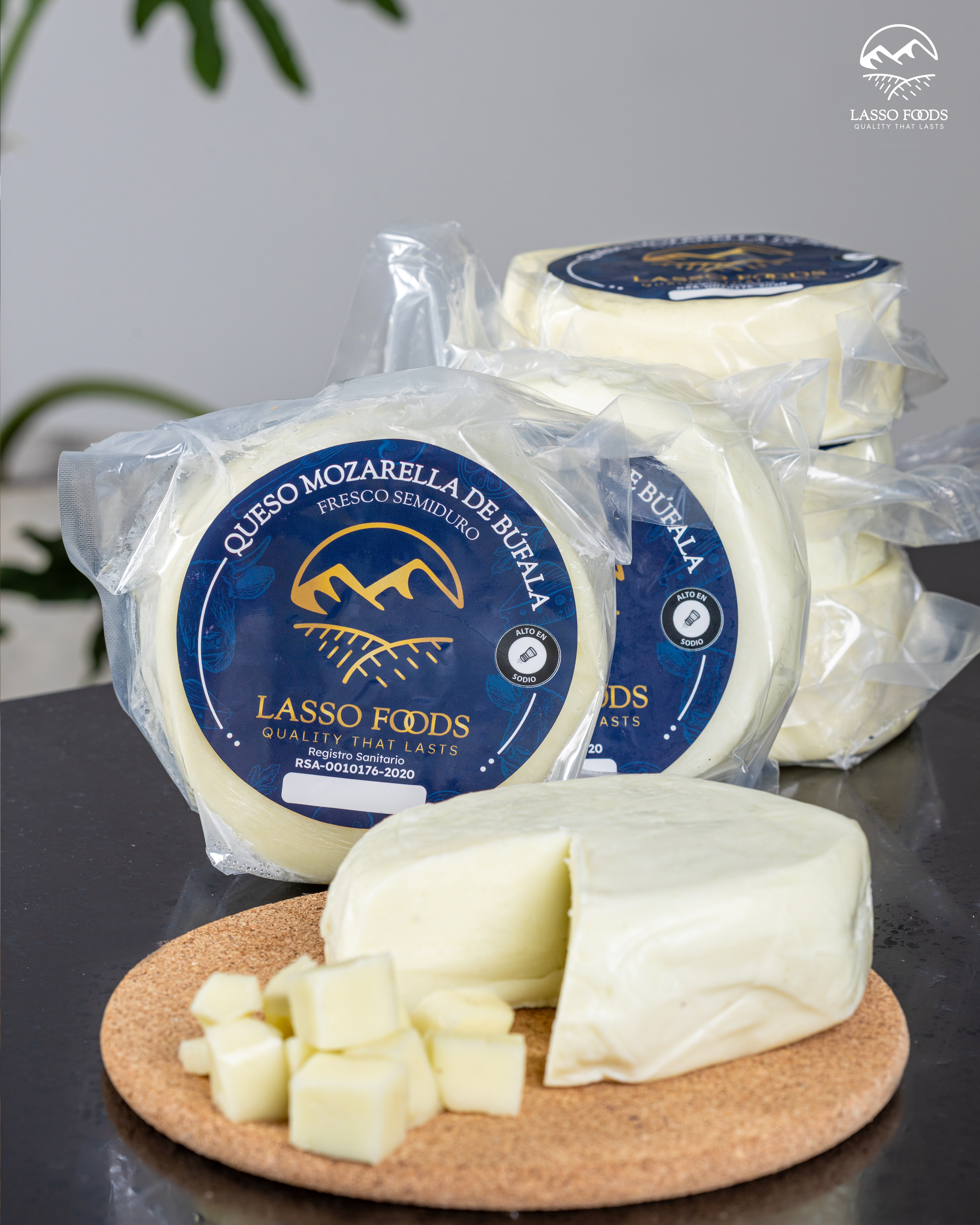 Queso Mozzarella de Búfala 500g