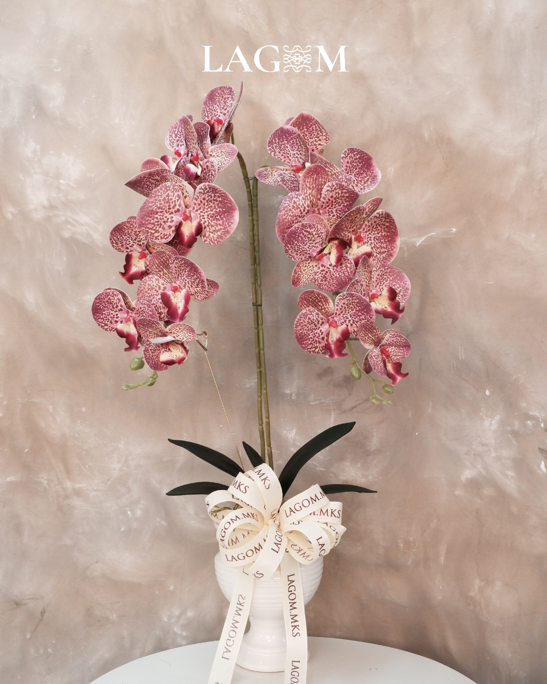 2 Stem Orchid Non Styling