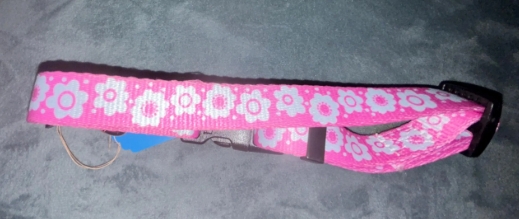 Nylon Quick Release Collar