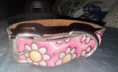 Leatherette Buckle Collar