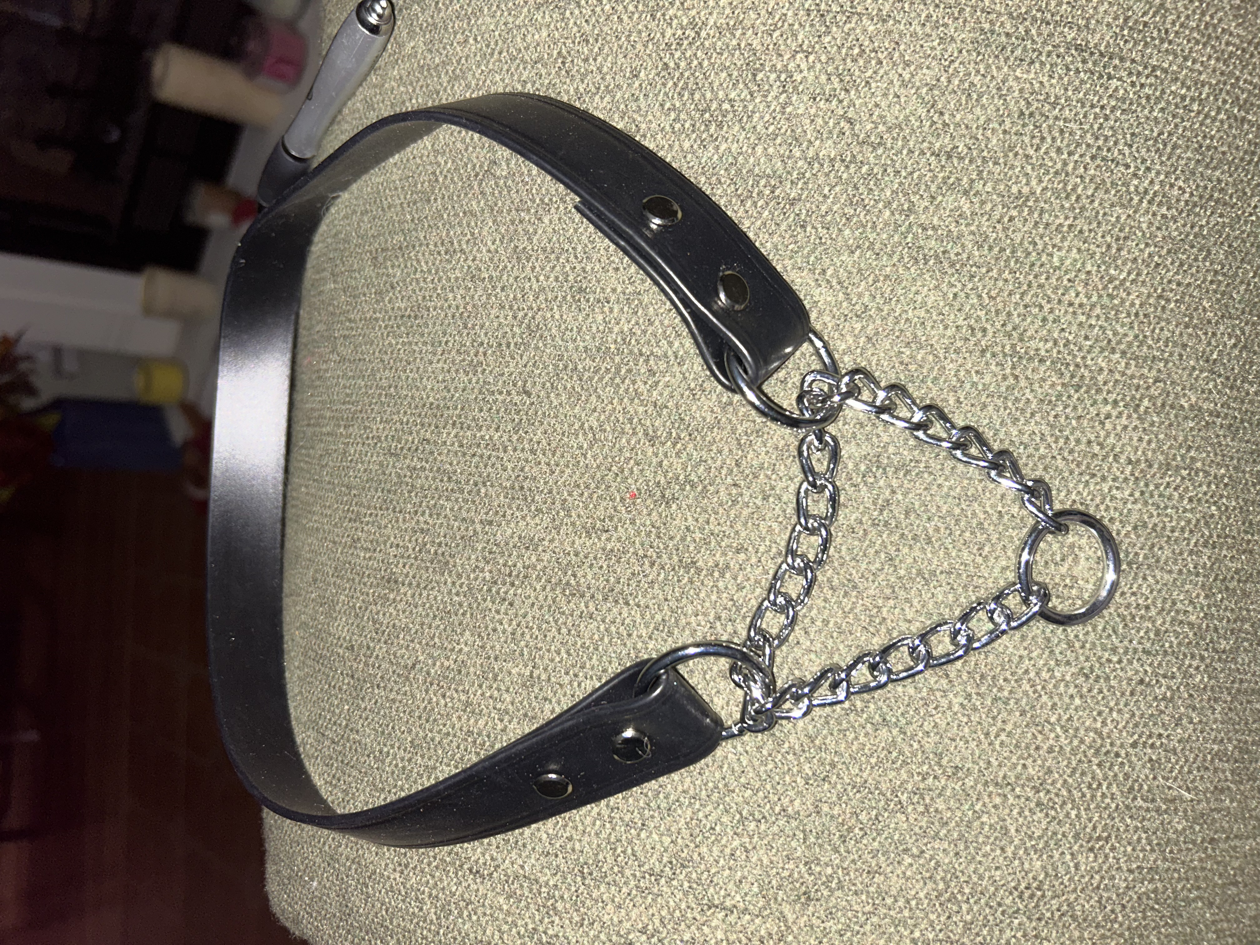 Biothane/Waterproof Webbing Martingale Dog Collar