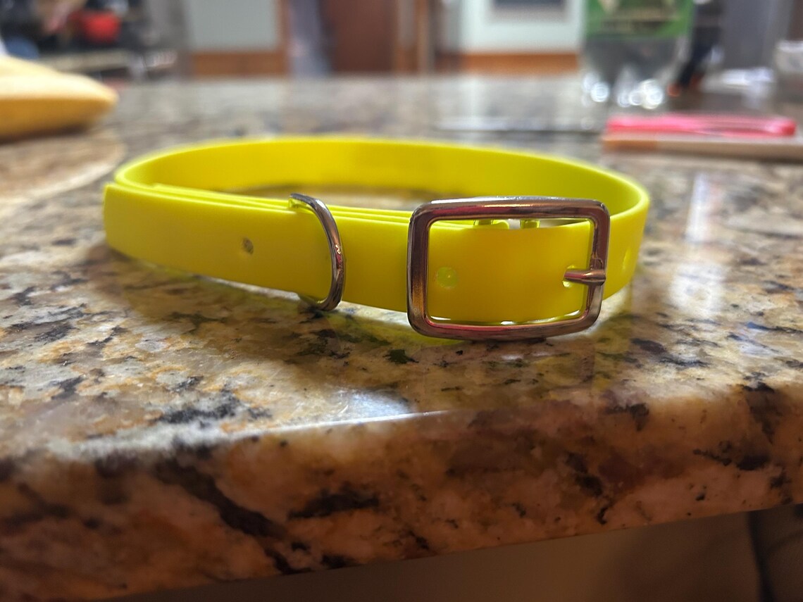 1/2" Biothane/Waterproof Webbing Hunting Dog Collar