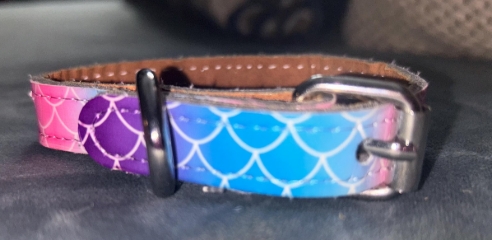 Leatherette Buckle Collar