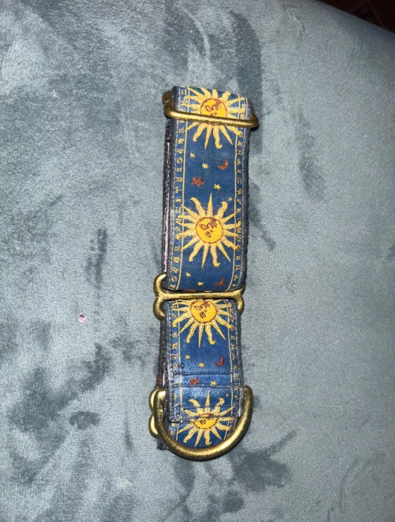 Martingale Dog Collar - Adjustable