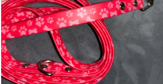 Dog Leash - Waterproof 