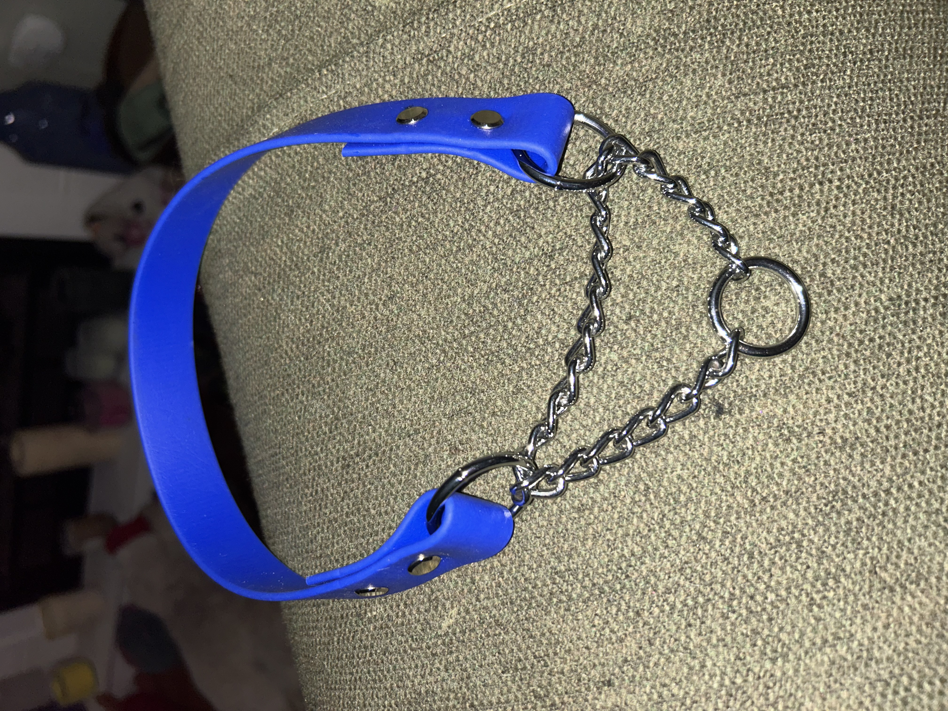 Biothane/Waterproof Webbing Martingale Dog Collar