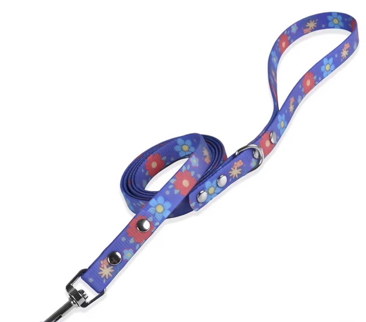 Waterproof Webbing Dog Lead with Snap