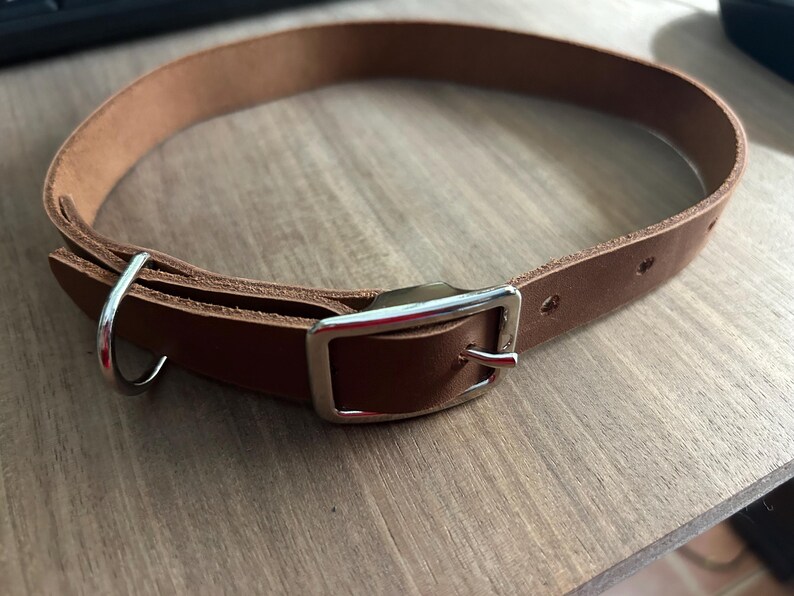 Leather Buckle Collar 