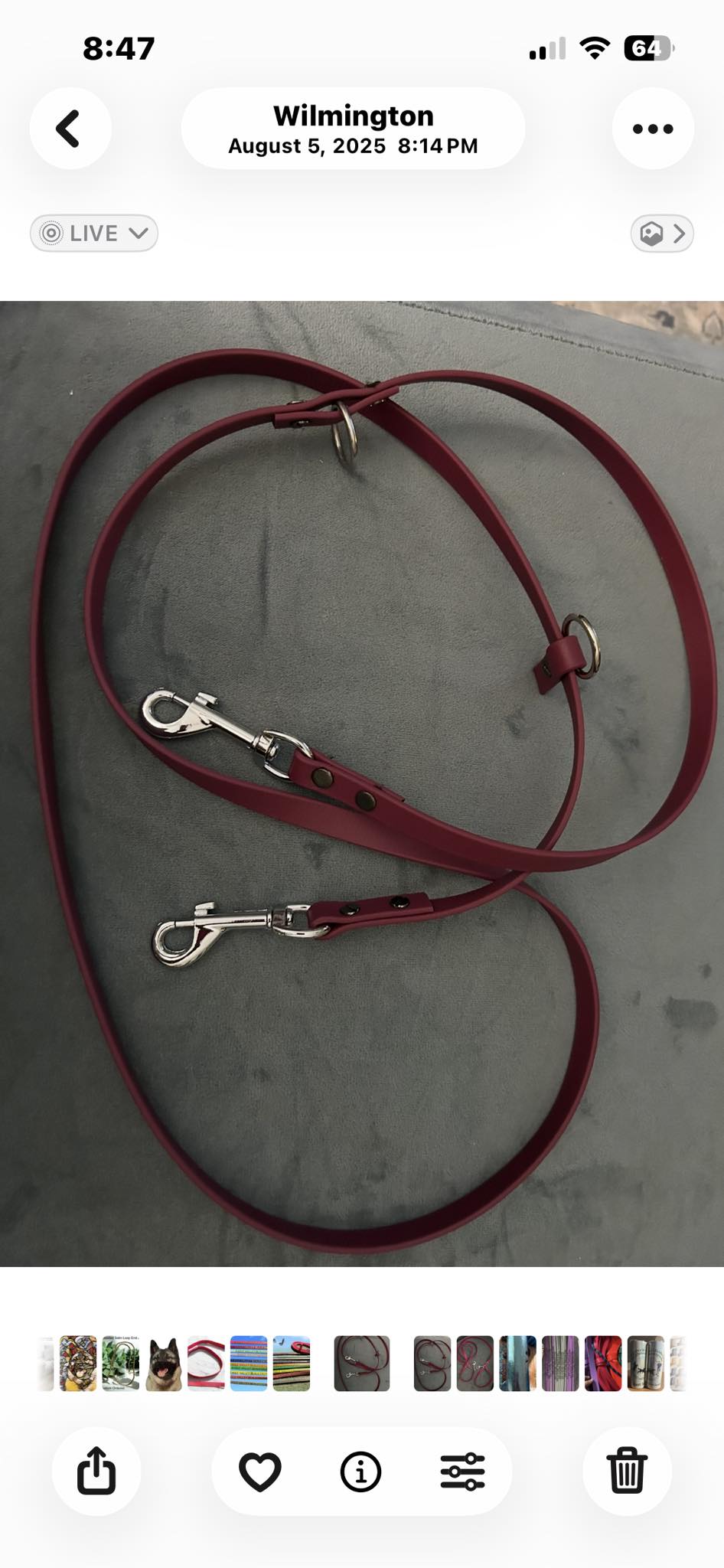 Handsfree Dog Leash - Biothane / Waterproof Webbing