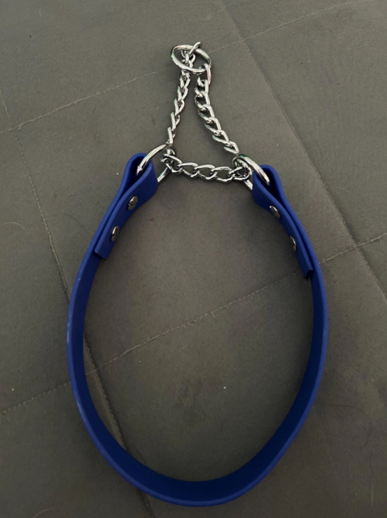 Martingale Dog Collar With Chain - 1/2" Biothane/Waterproof Webbing