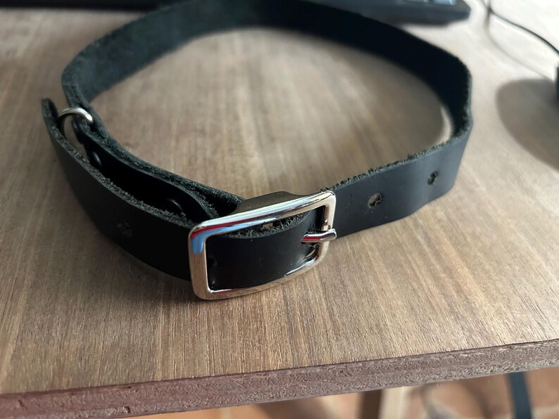 Leather Buckle Collar 