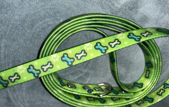 Dog Leash - Waterproof 