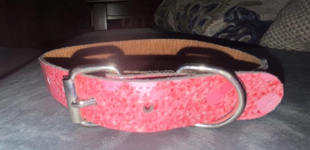 Leatherette Buckle Collar