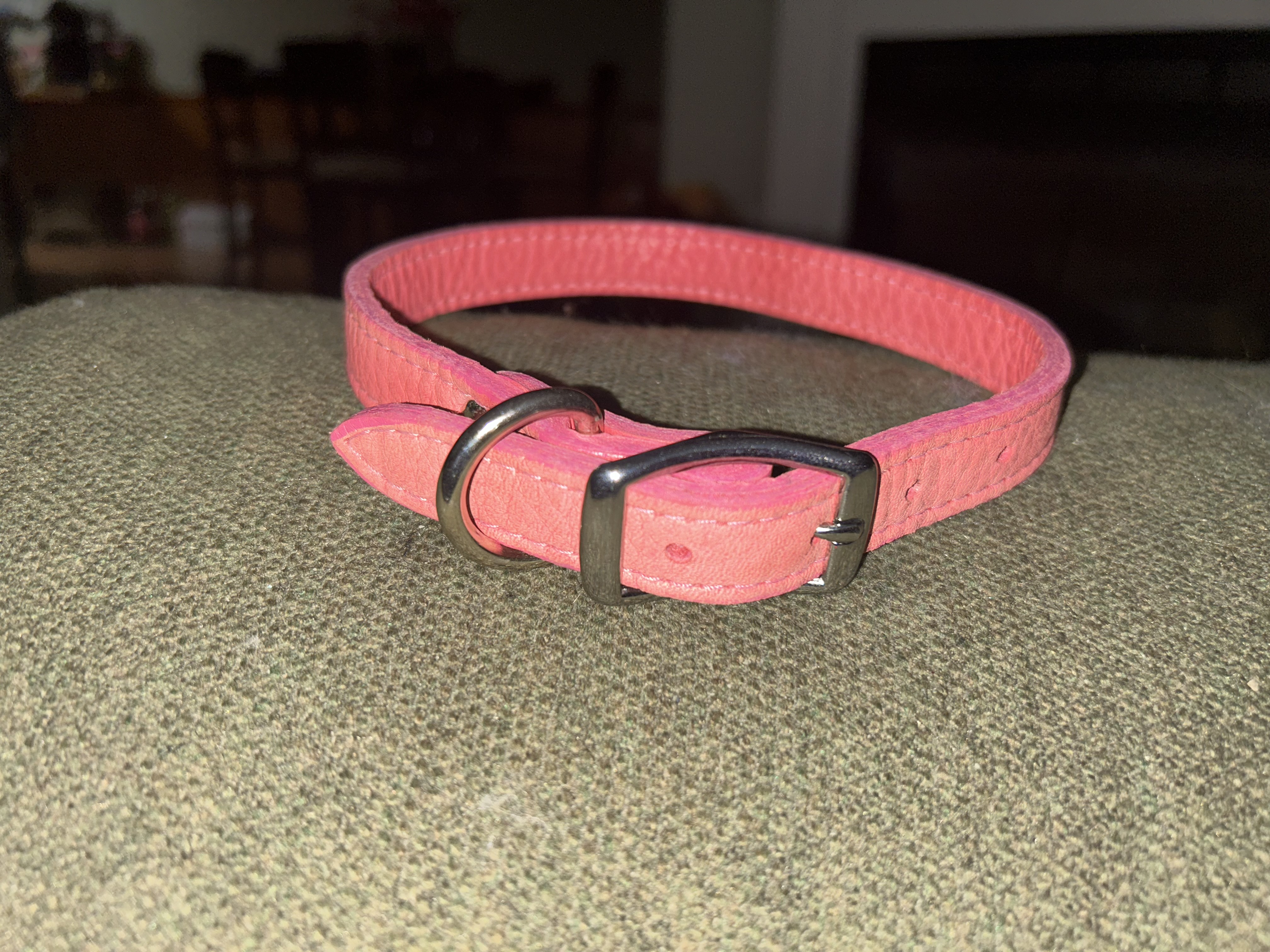 Leather Buckle Collars - Assorted Colors