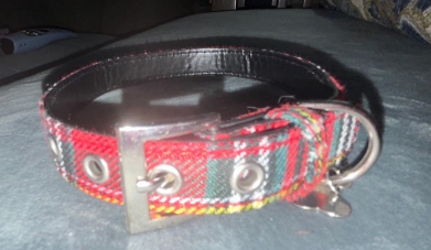 Tartan Plaid Buckle Collar